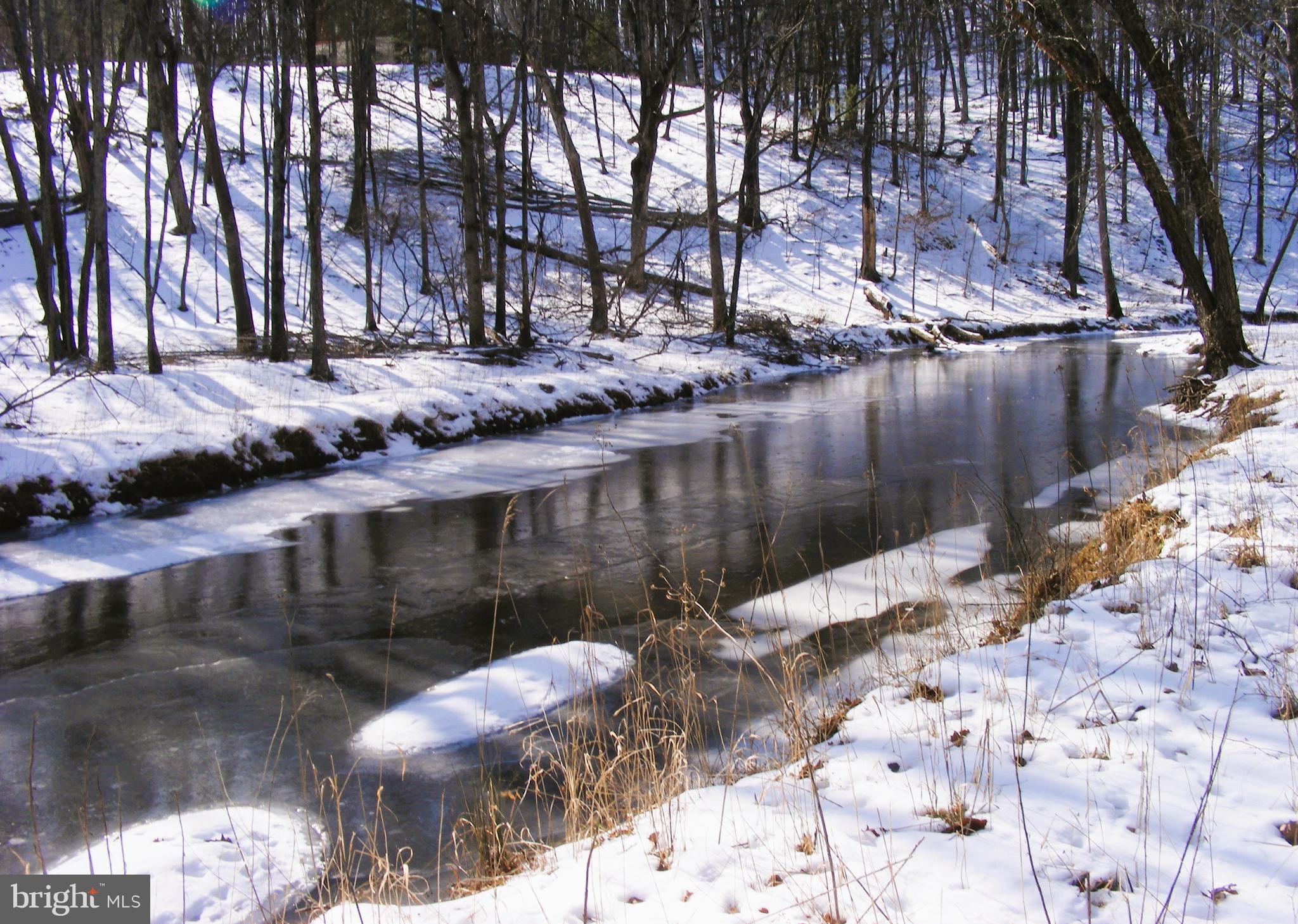 ESCAPE TO THIS BEAUTIFUL PROPERTY LOCATED IN MORGAN COUNTY WV. IMAGINE THE TRANQUILITY OF BEING SURRONDED BY NATURE AND WILDLIFE. THIS BEAUTIFUL 2.51 ACRE LOT BACKS TO SLEEPY CREEK, WHERE YOU CAN SPEND YOUR DAYS RELAXING IN THE COOL WATER , FISHING OR ENJOYING THE MOUNTAIN VIEWS. THE PROPERTY IS LOCATED ON A CUL DE SAC, PROVIDING FURTHER PRIVACY. THE LOT FRONTAGE IS LEVEL AND SLOPES DOWN TO SLEEPY CREEK. YOU WOULD BE A SHORT DISTANCE TO BOTH BERKELEY SPRINGS, WV AND WINCHESTER, VA. YOU DO NOT WANT TO MISS THIS OPPORTUNITY!