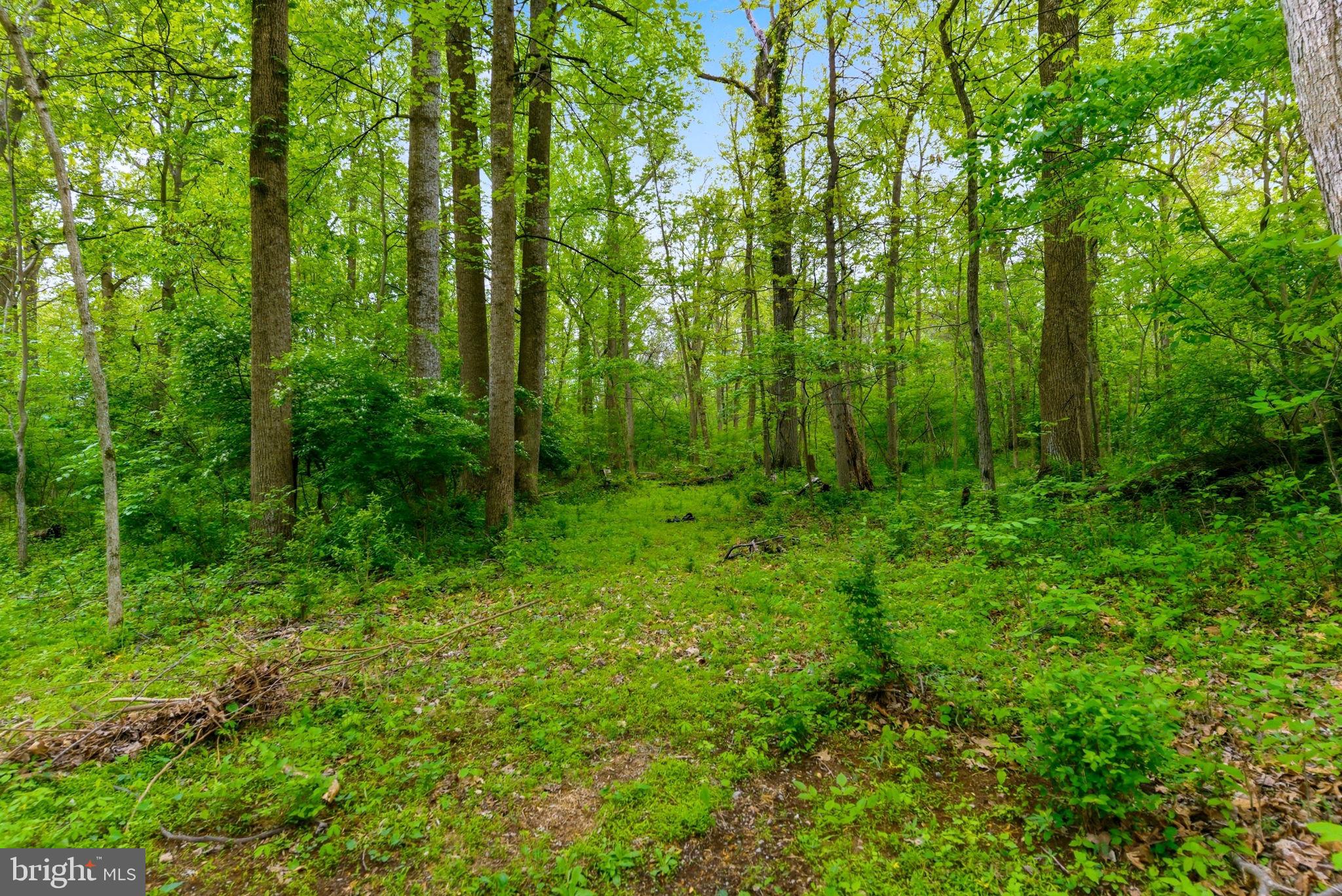 STOVER WOODS ESTATES - Residential