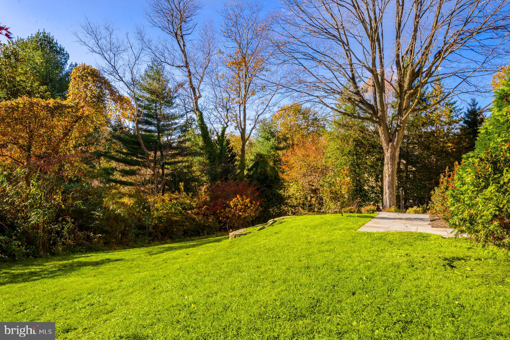 CHESTNUT HILL - Residential