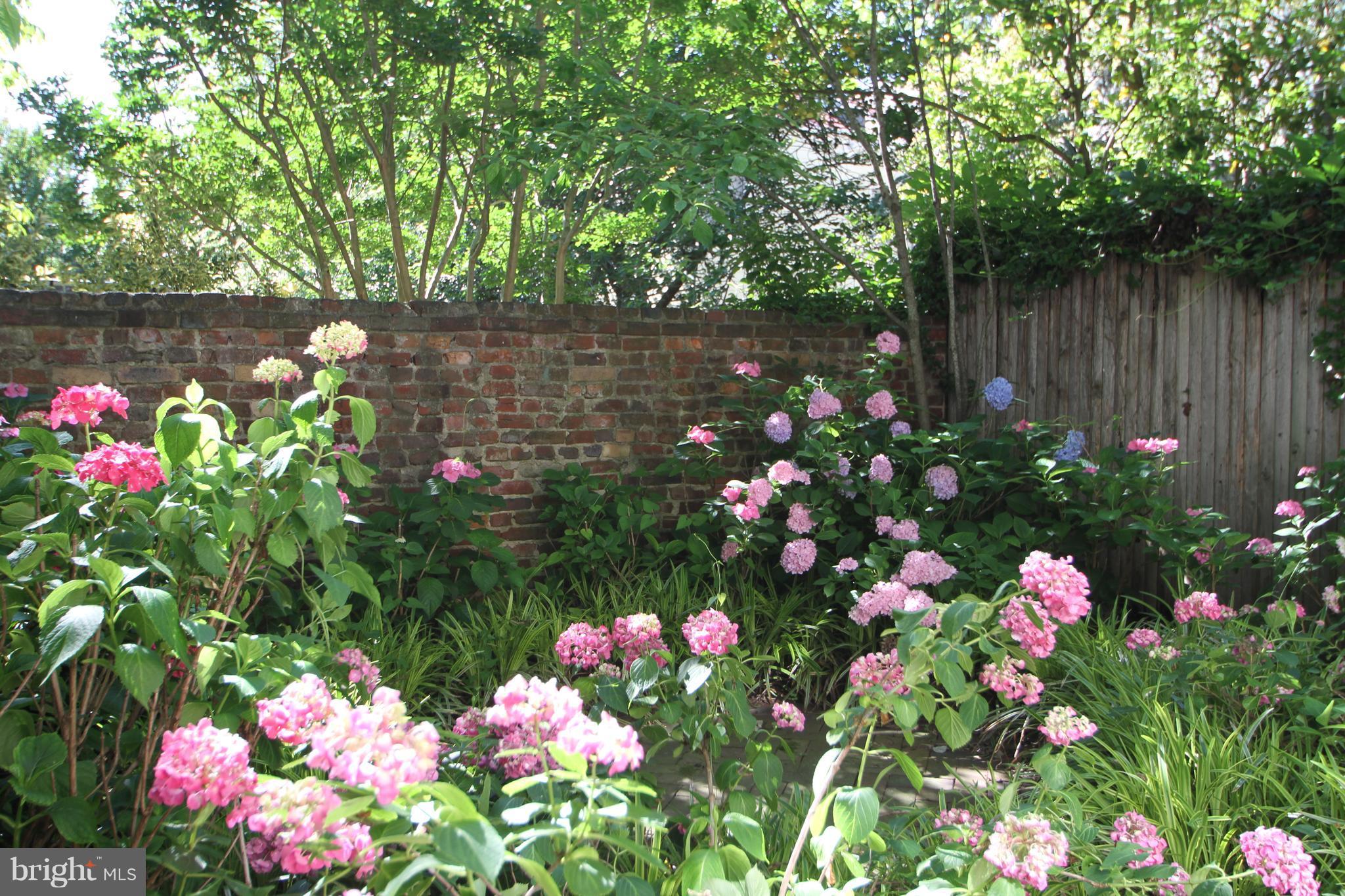 OLD TOWN - Residential