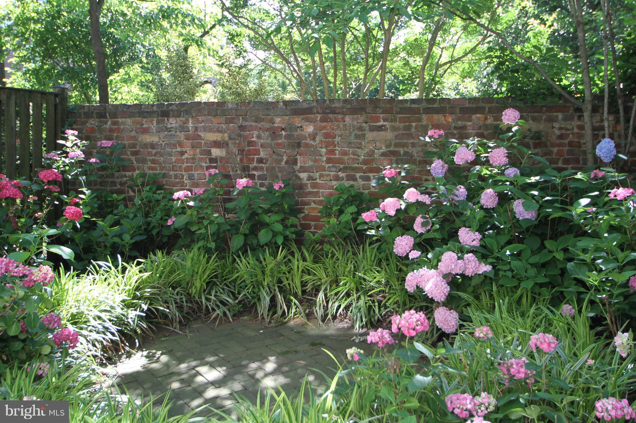 OLD TOWN - Residential