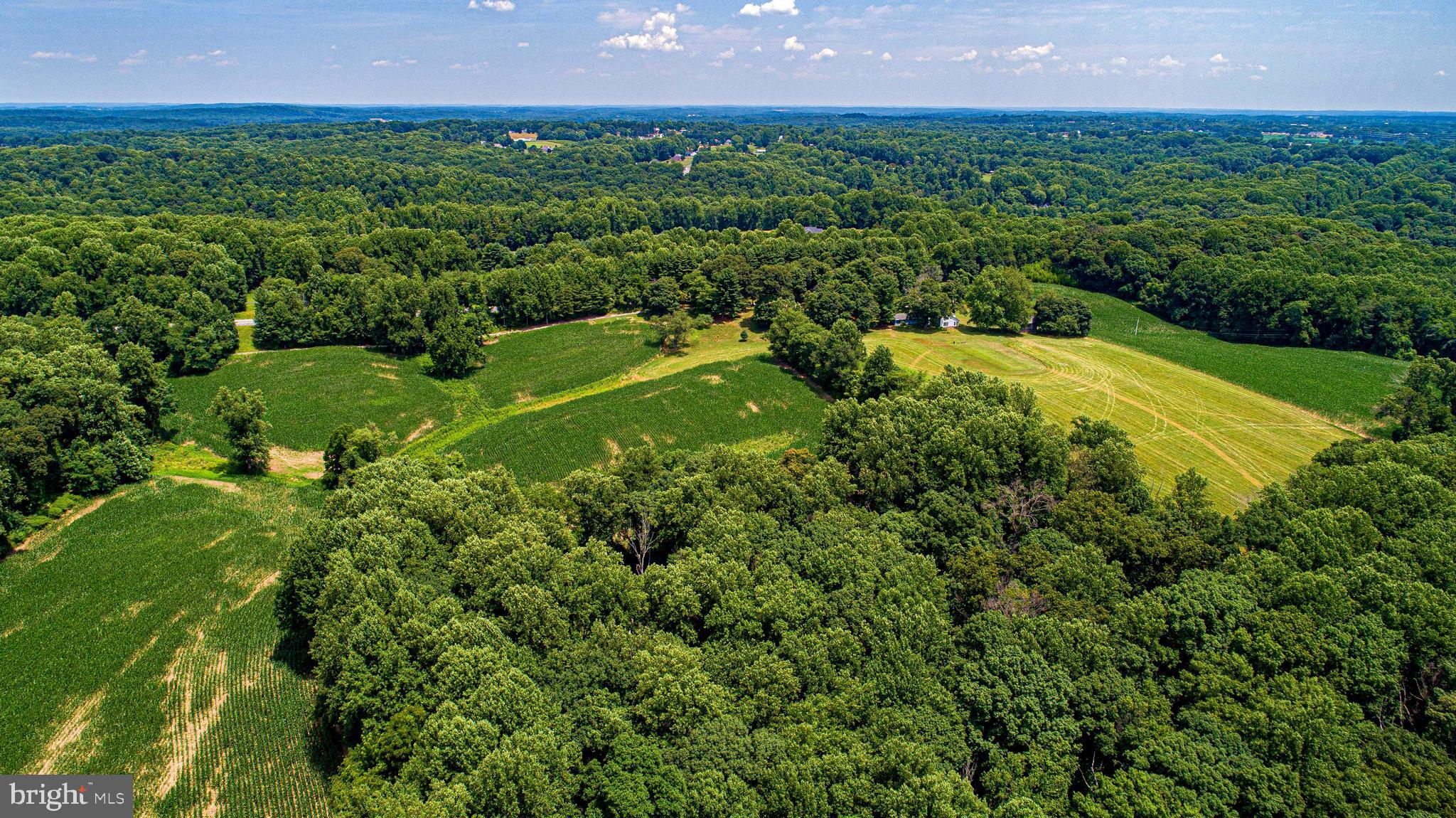 FOREST HILL - Residential