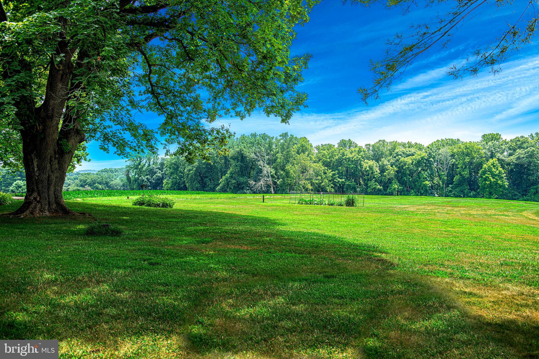 FOREST HILL - Residential