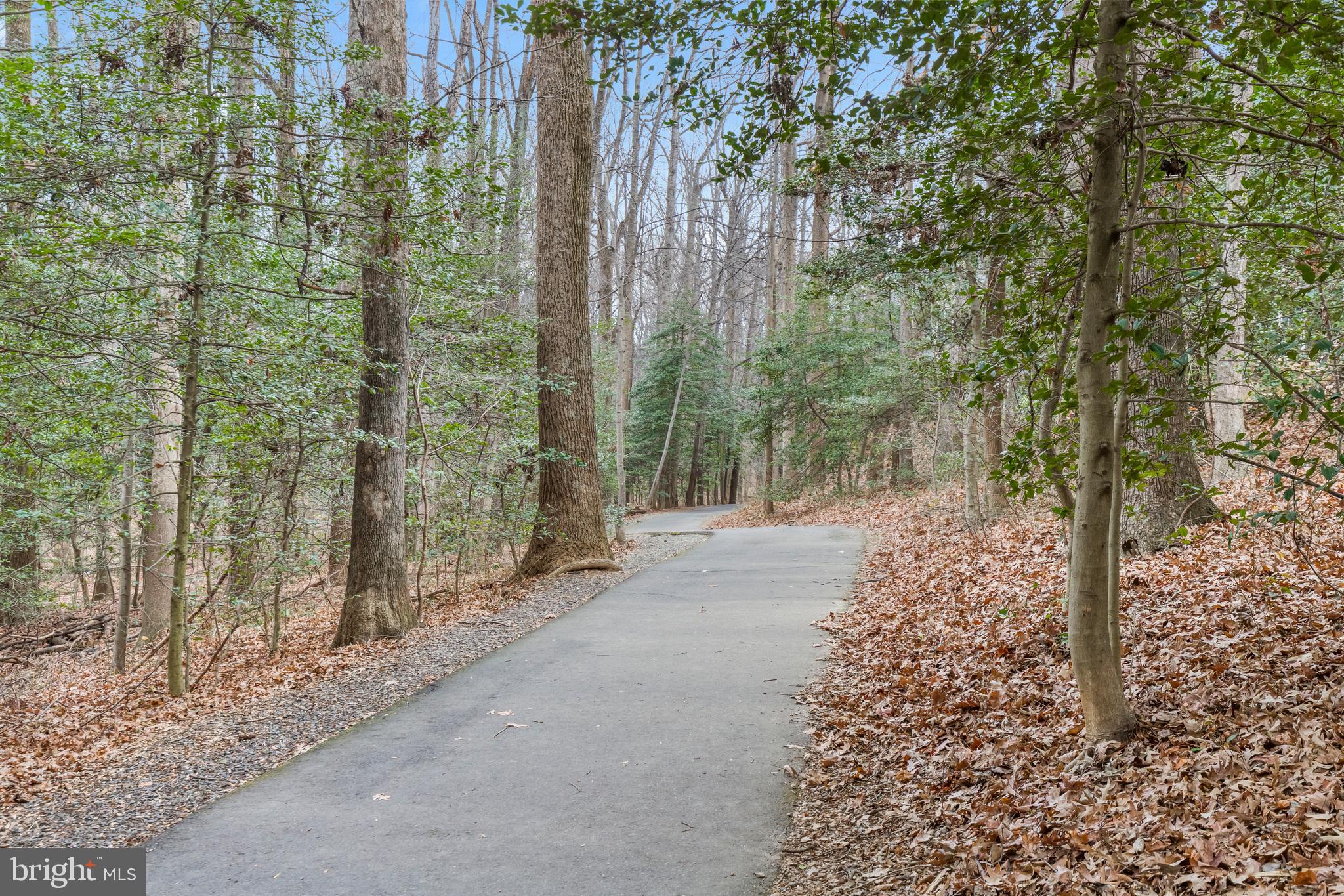 BRISTOL HOUSE - Residential