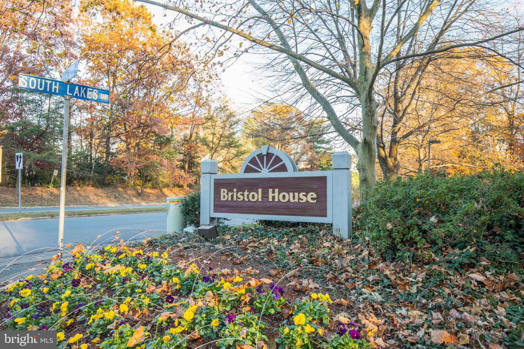 BRISTOL HOUSE - Residential