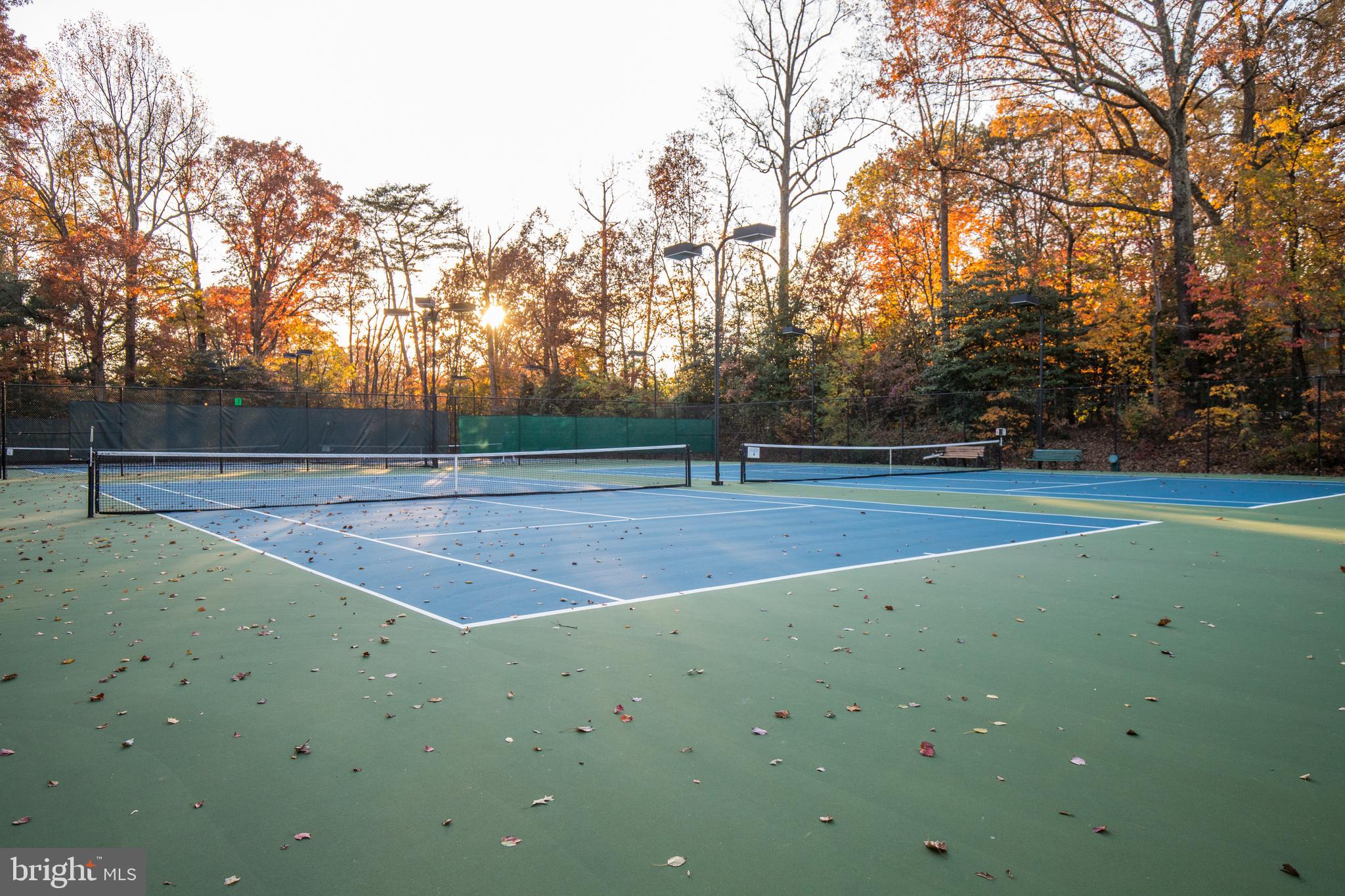 BRISTOL HOUSE - Residential