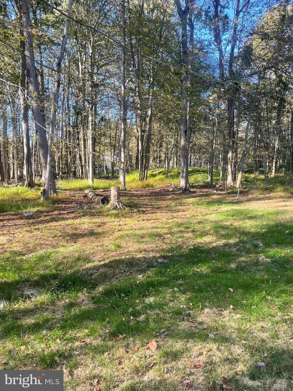 Photo of 5116 Iroquois Street, TOBYHANNA, PA 18466 (MLS # PAMR2005694)