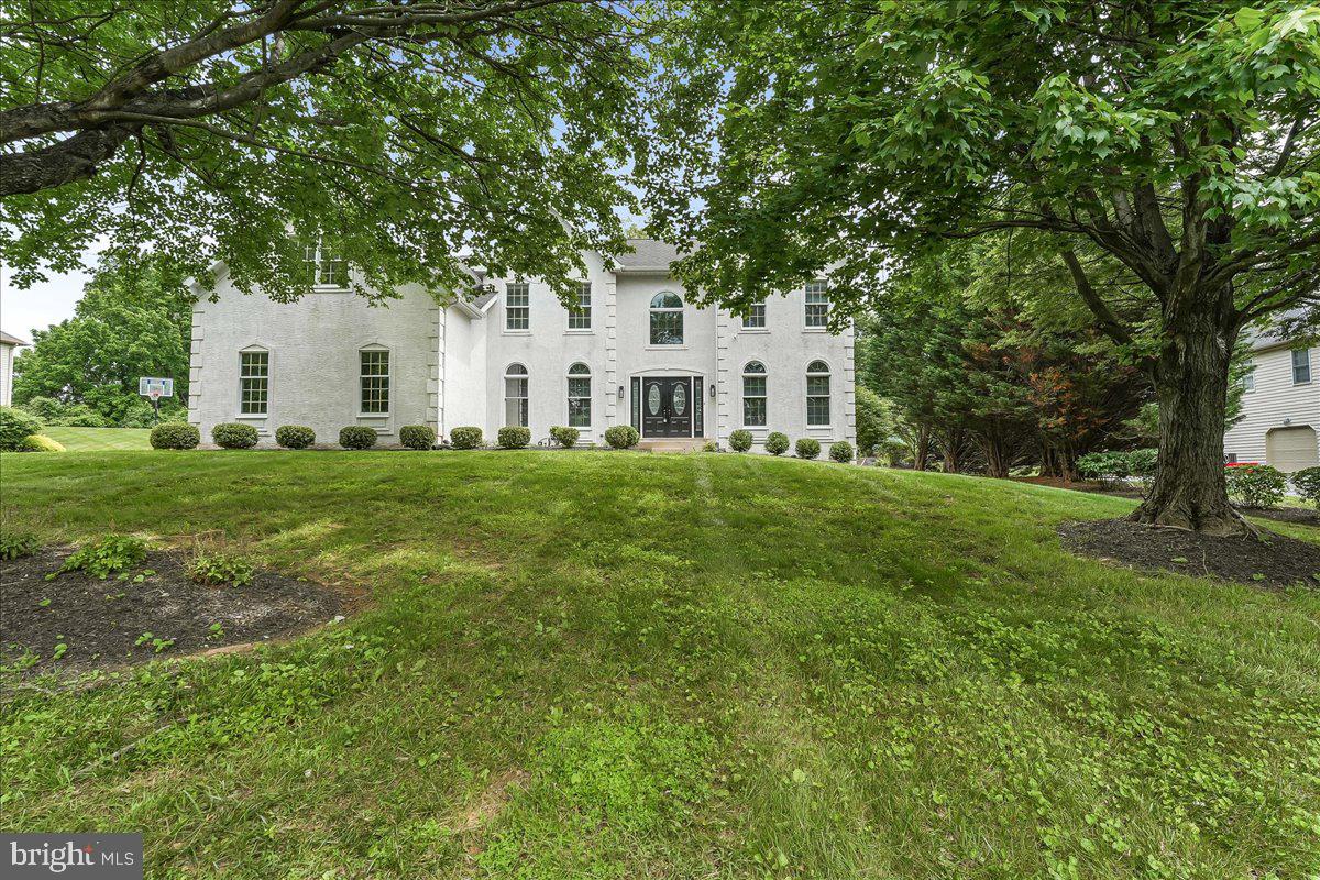 289 DRESSAGE COURT