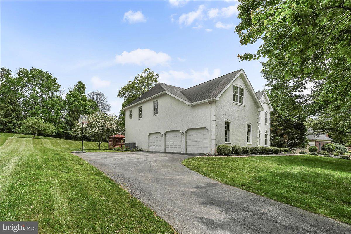 289 DRESSAGE COURT