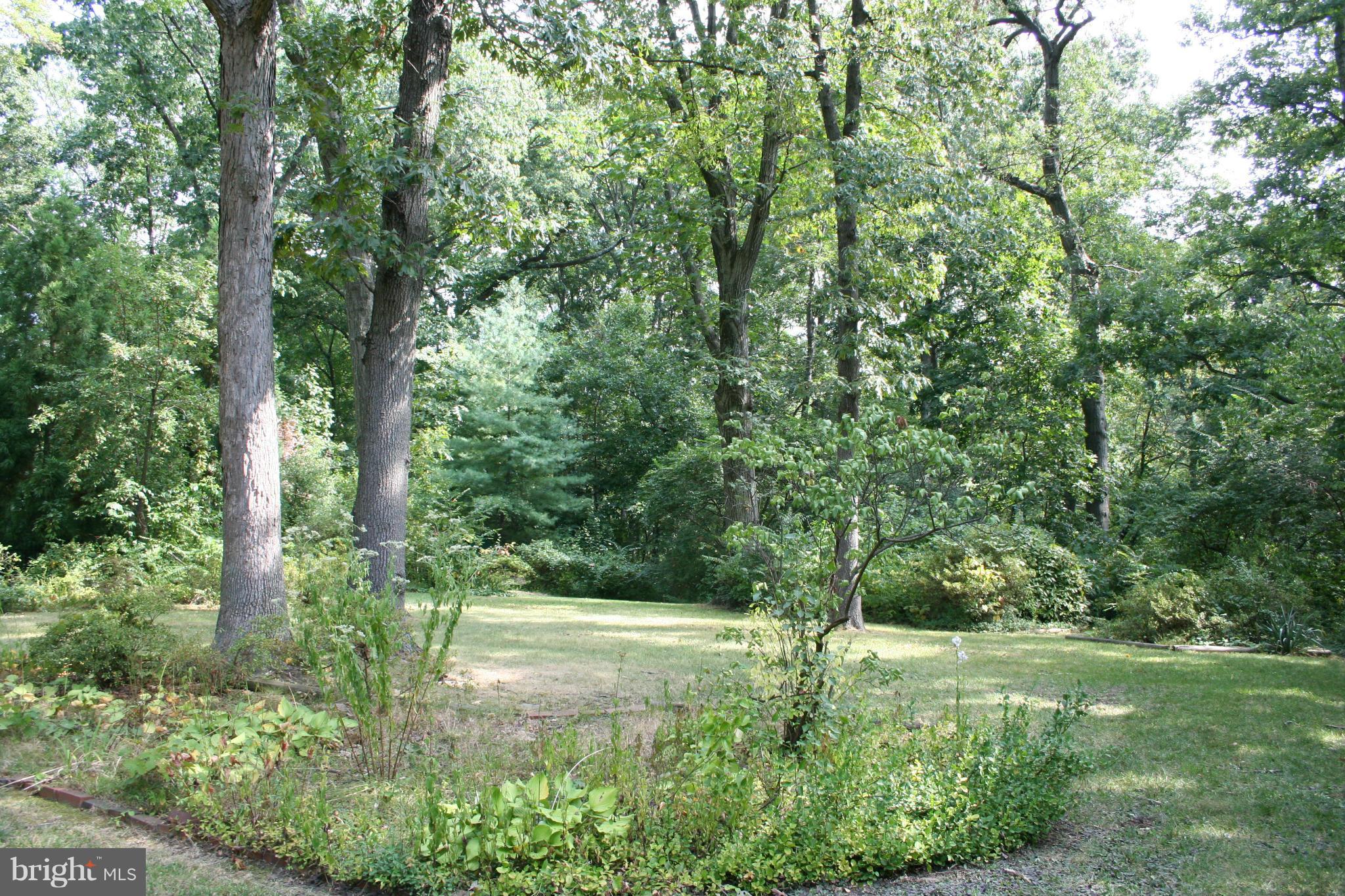 ARLINGTON FOREST - Residential Lease