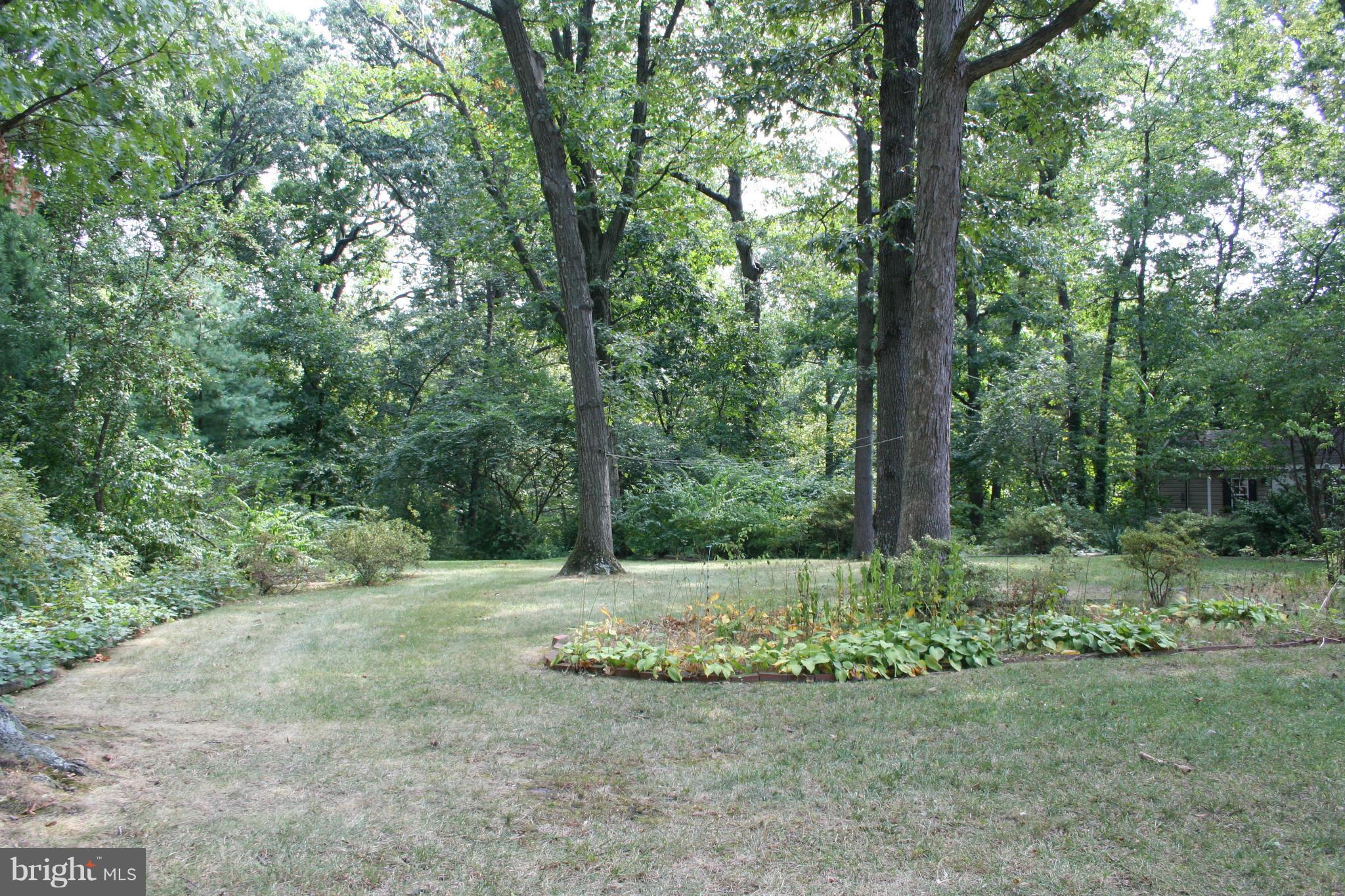 ARLINGTON FOREST - Residential Lease