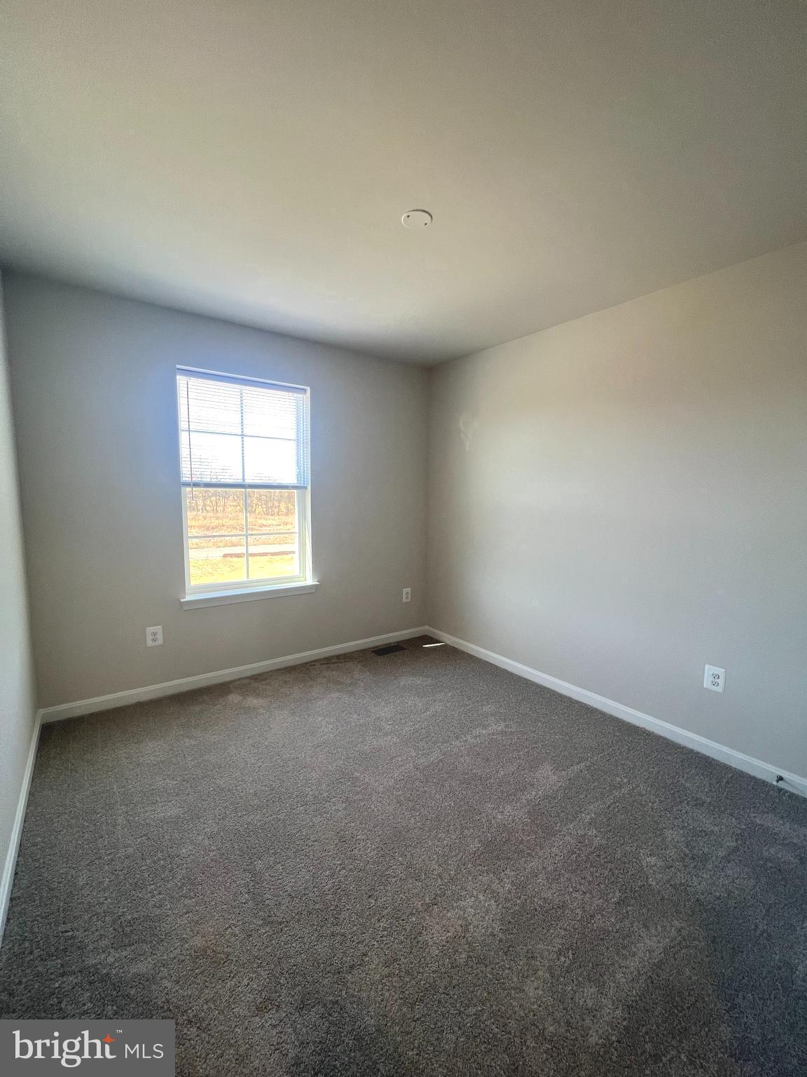 NORBORNE GLEBE - Residential Lease