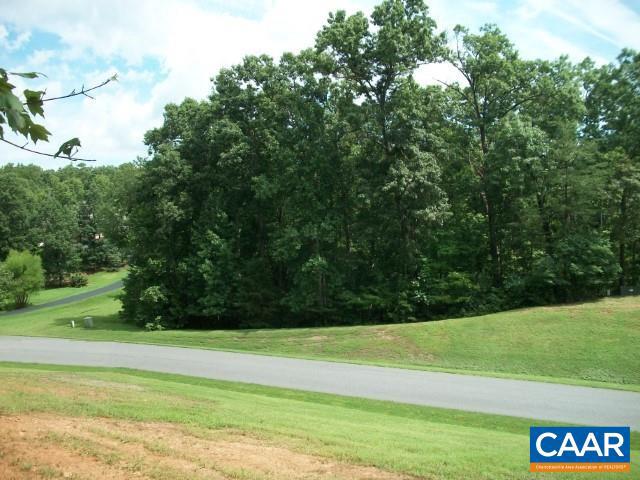 FOXWOOD FOREST - Land