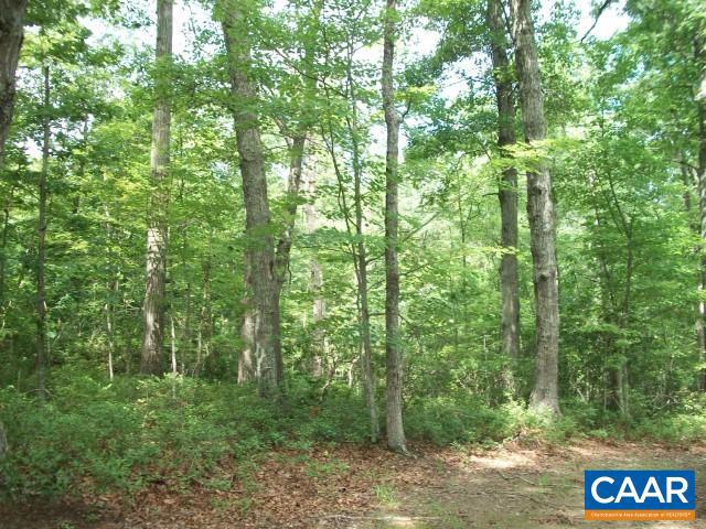 FOXWOOD FOREST - Land