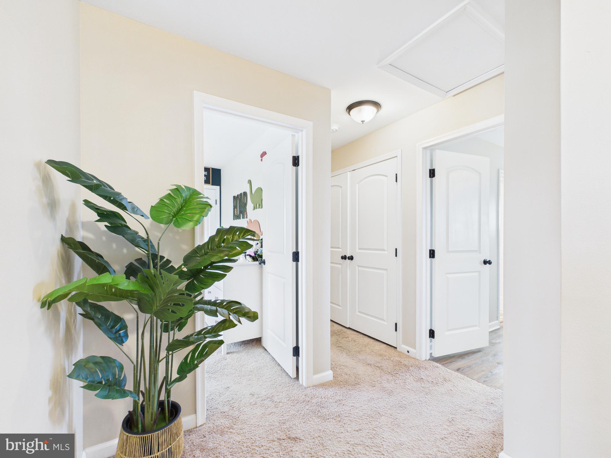 WEBBER SPRINGS - Residential