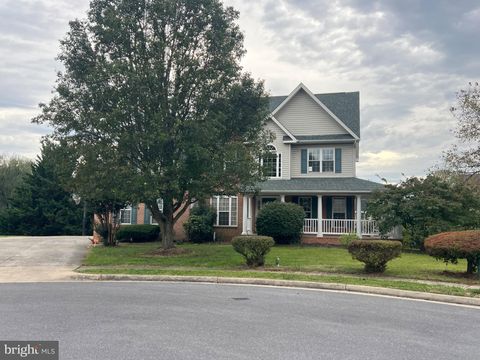 317 HENDERSON COURT BERRYVILLE VA 22611