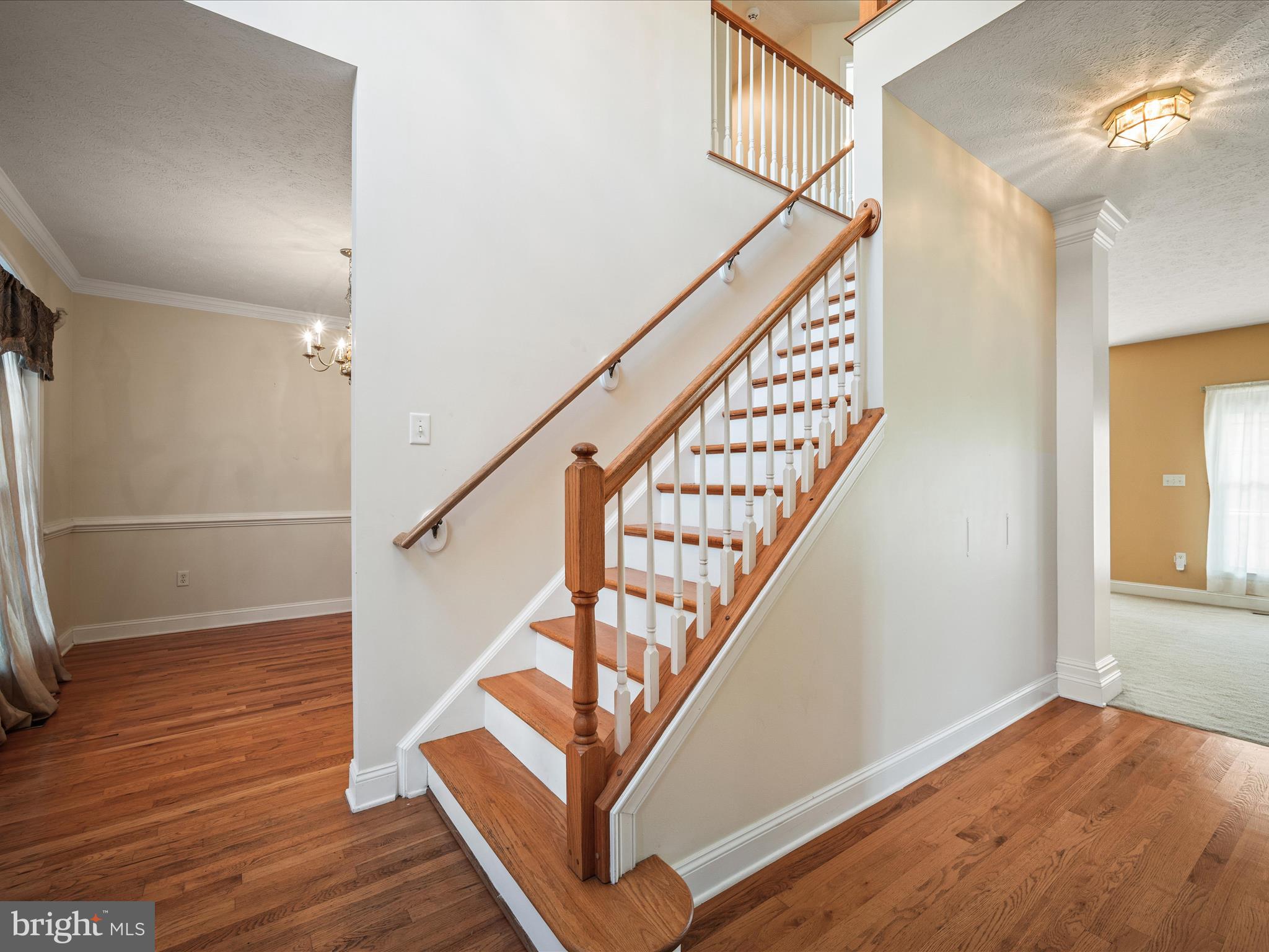 HERMITAGE - Residential