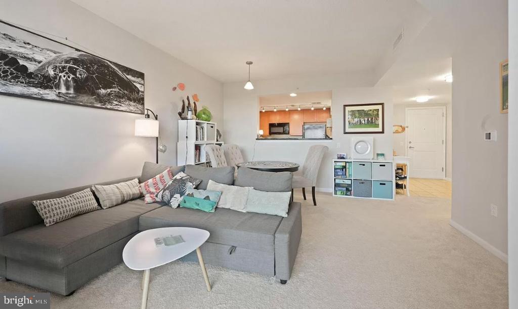 DOWNTOWN SILVER SPRING - Residential Lease