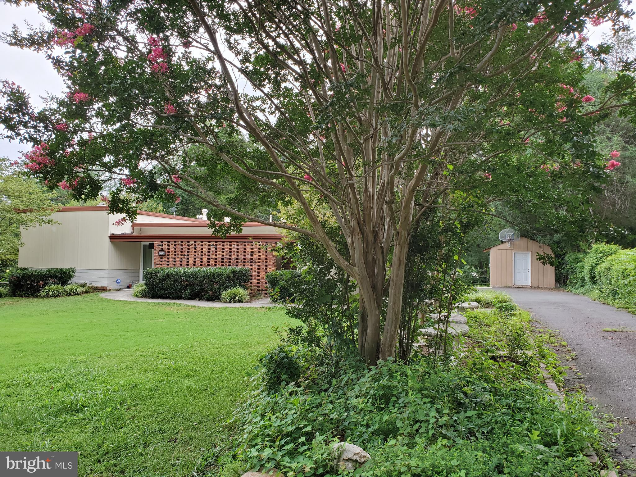 SOUTHAMPTON - Residential Lease