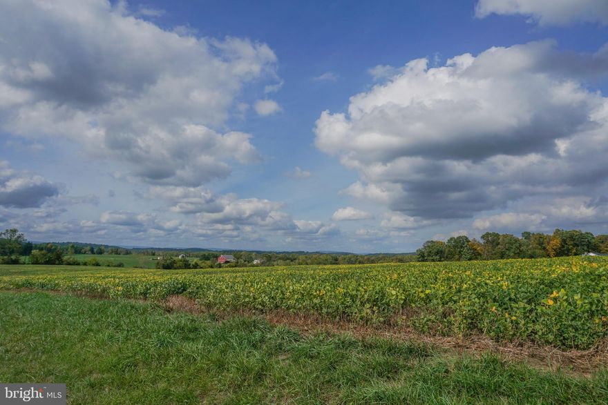 There are absolutely beautiful views of the Catoctin Mountains in the Cunningham Falls State Park area from the 37 acres of land available for sale on White Church Rd. The land is currently growing soybeans. This buildable land is 42 miles from Route 695 Baltimore and has the right to build a residence and agricultural buildings. The perc and probe is completed and approved. Build your dream home and continue to lease out the tillable acres to the farmer!
