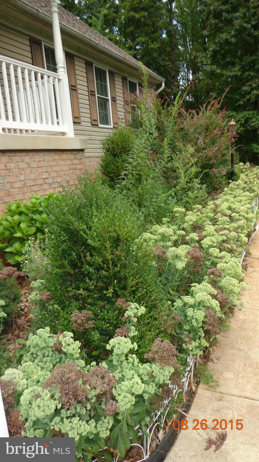 RILLHURST ESTATES - Residential