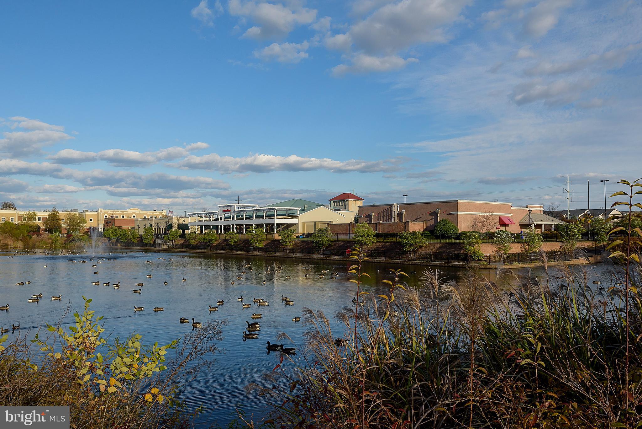 THE VILLAGE AT WAUGH CHAPEL - Residential