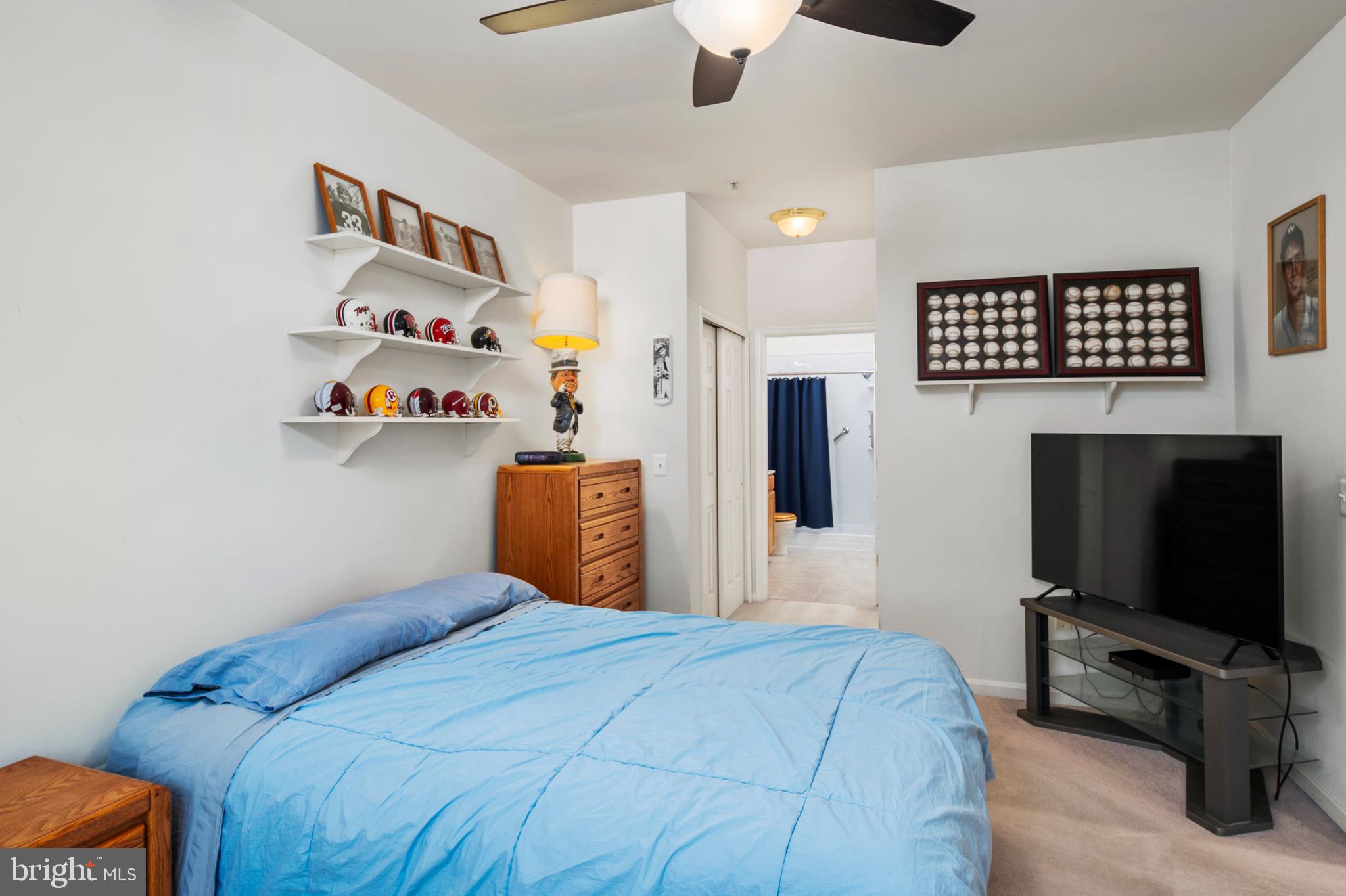 THE VILLAGE AT WAUGH CHAPEL - Residential