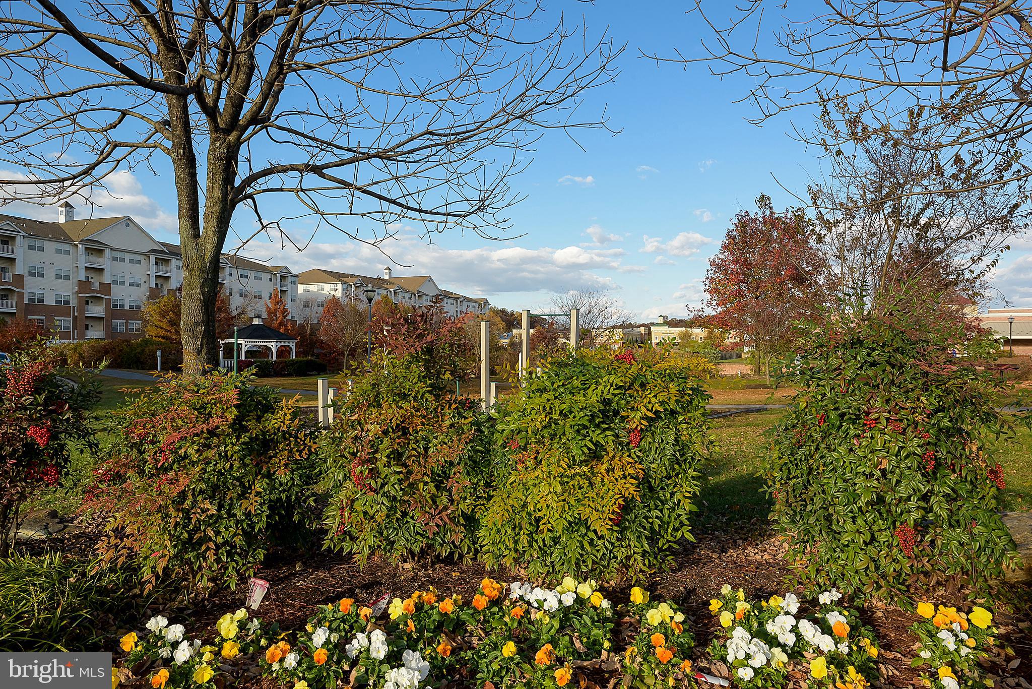 THE VILLAGE AT WAUGH CHAPEL - Residential