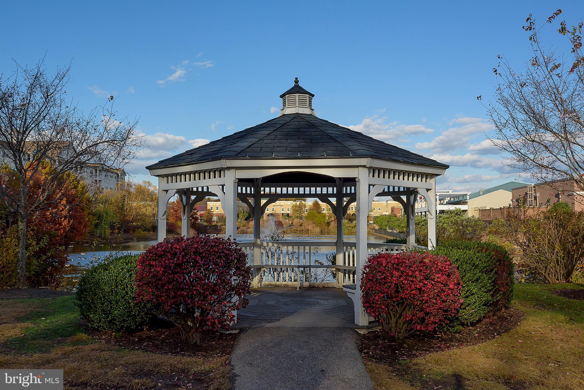 THE VILLAGE AT WAUGH CHAPEL - Residential