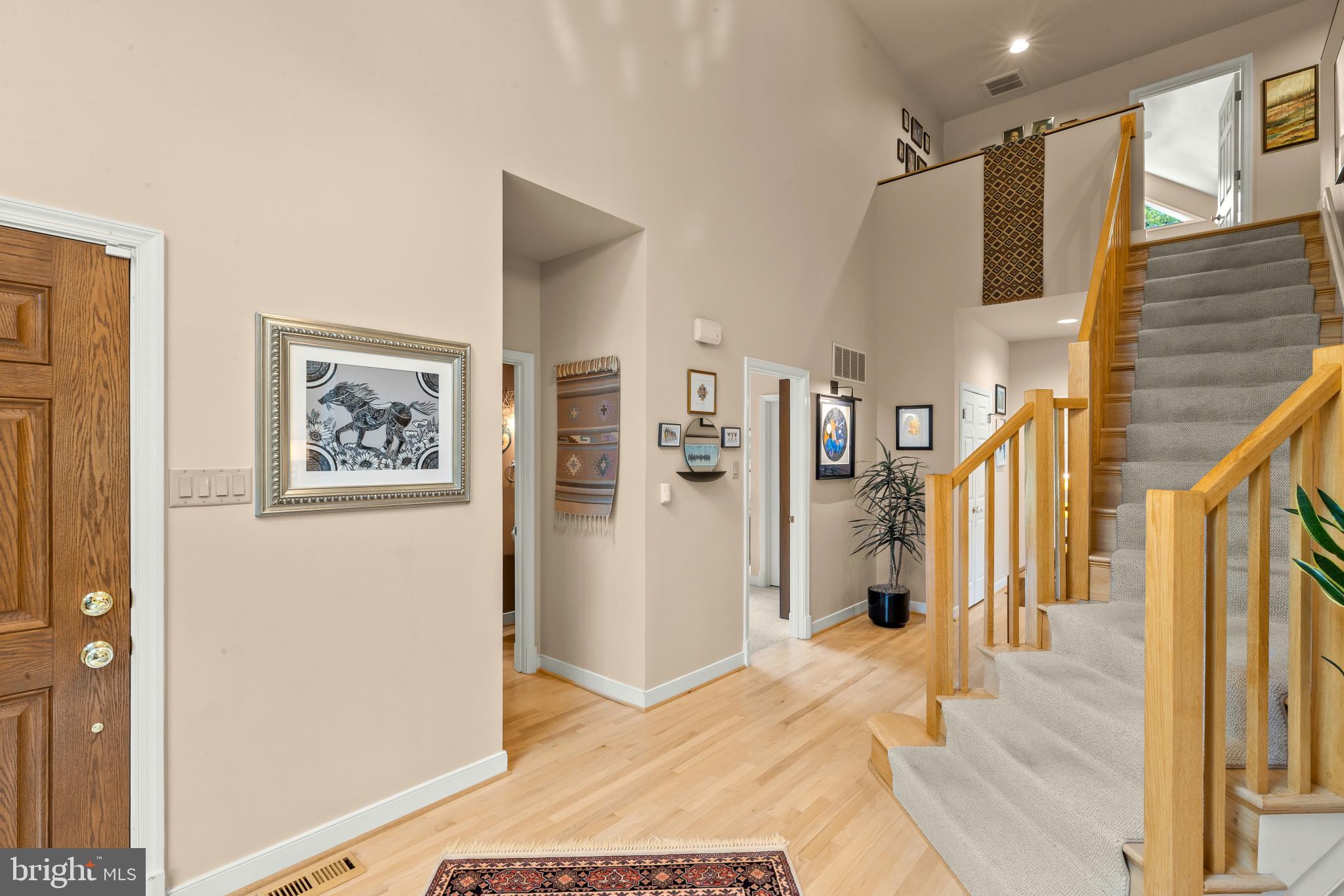 11201 SHADOWMERE MEWS