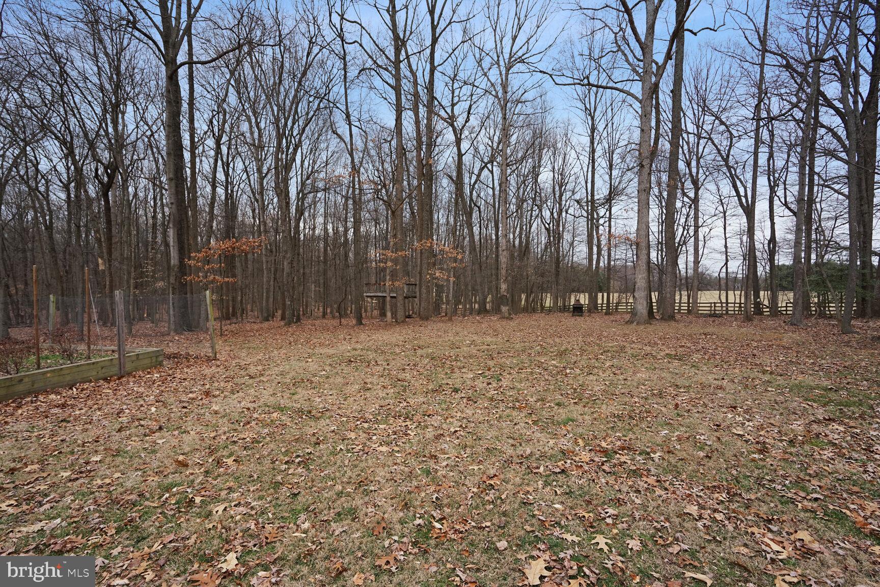 ASHLEIGH GREENE - Residential