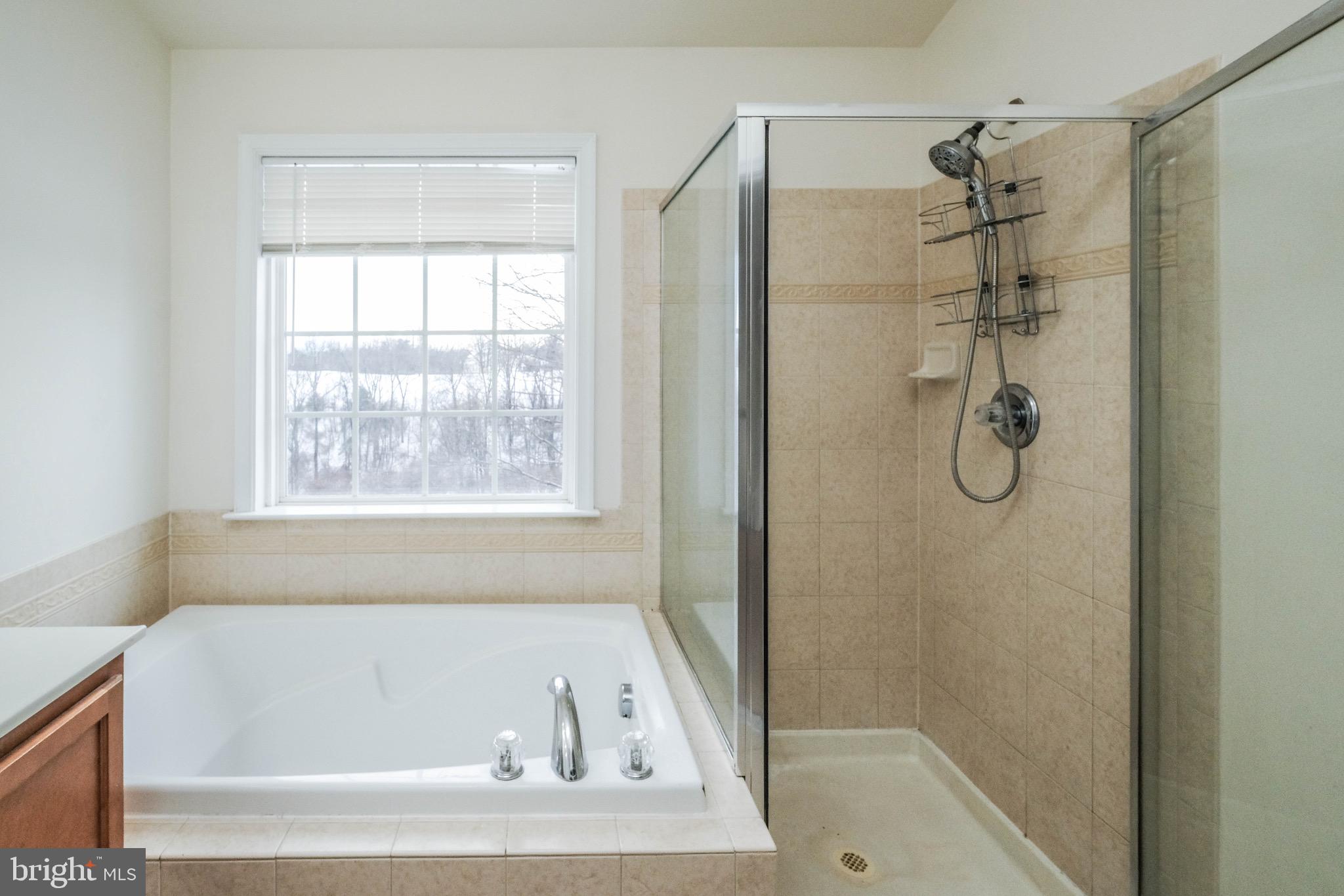 BLUE RIDGE SHADOWS - Residential