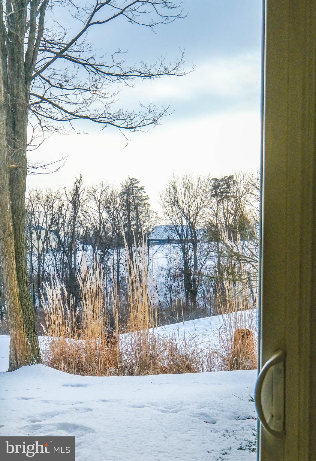 BLUE RIDGE SHADOWS - Residential