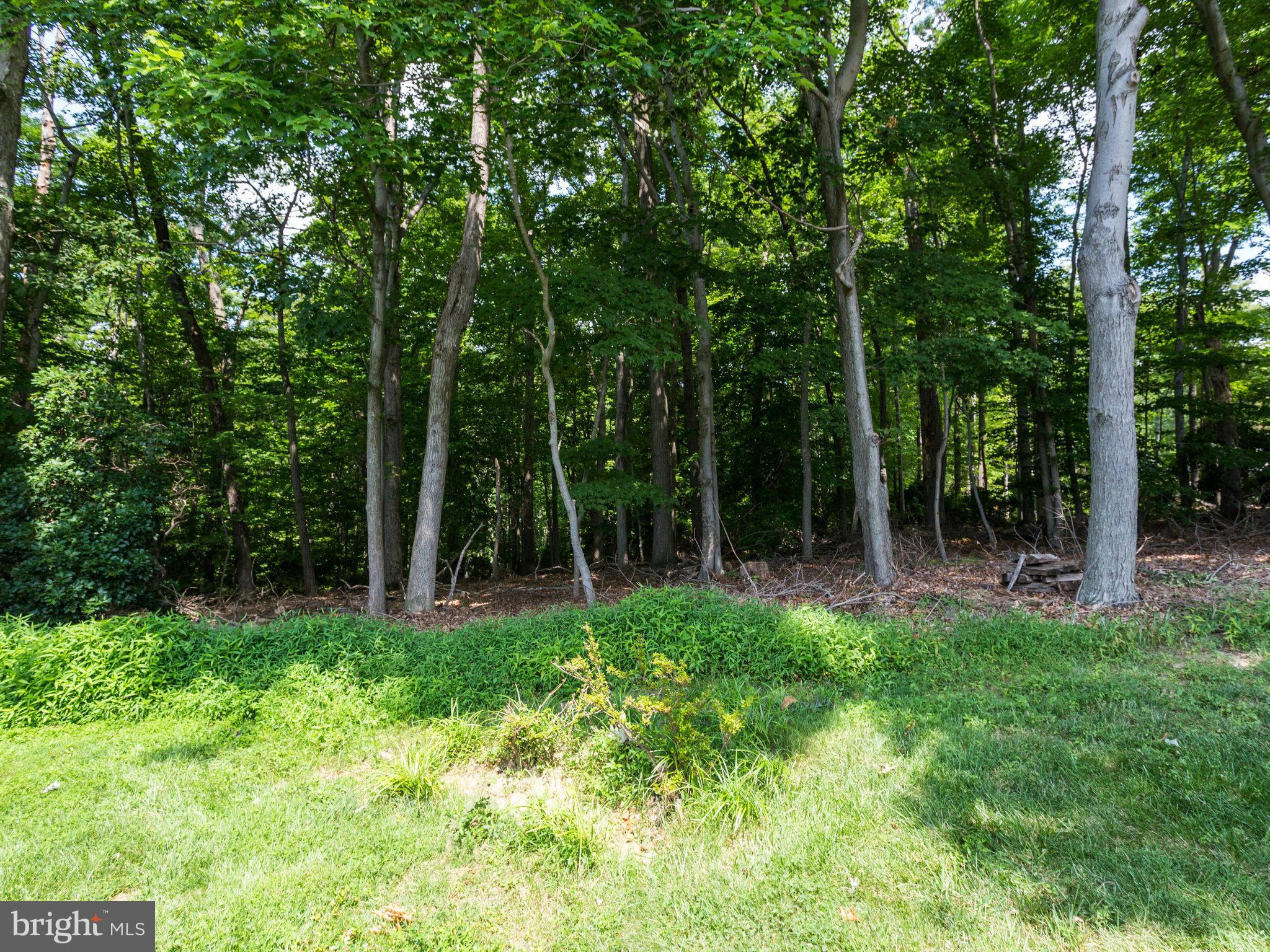 BETHELEN WOODS - Residential