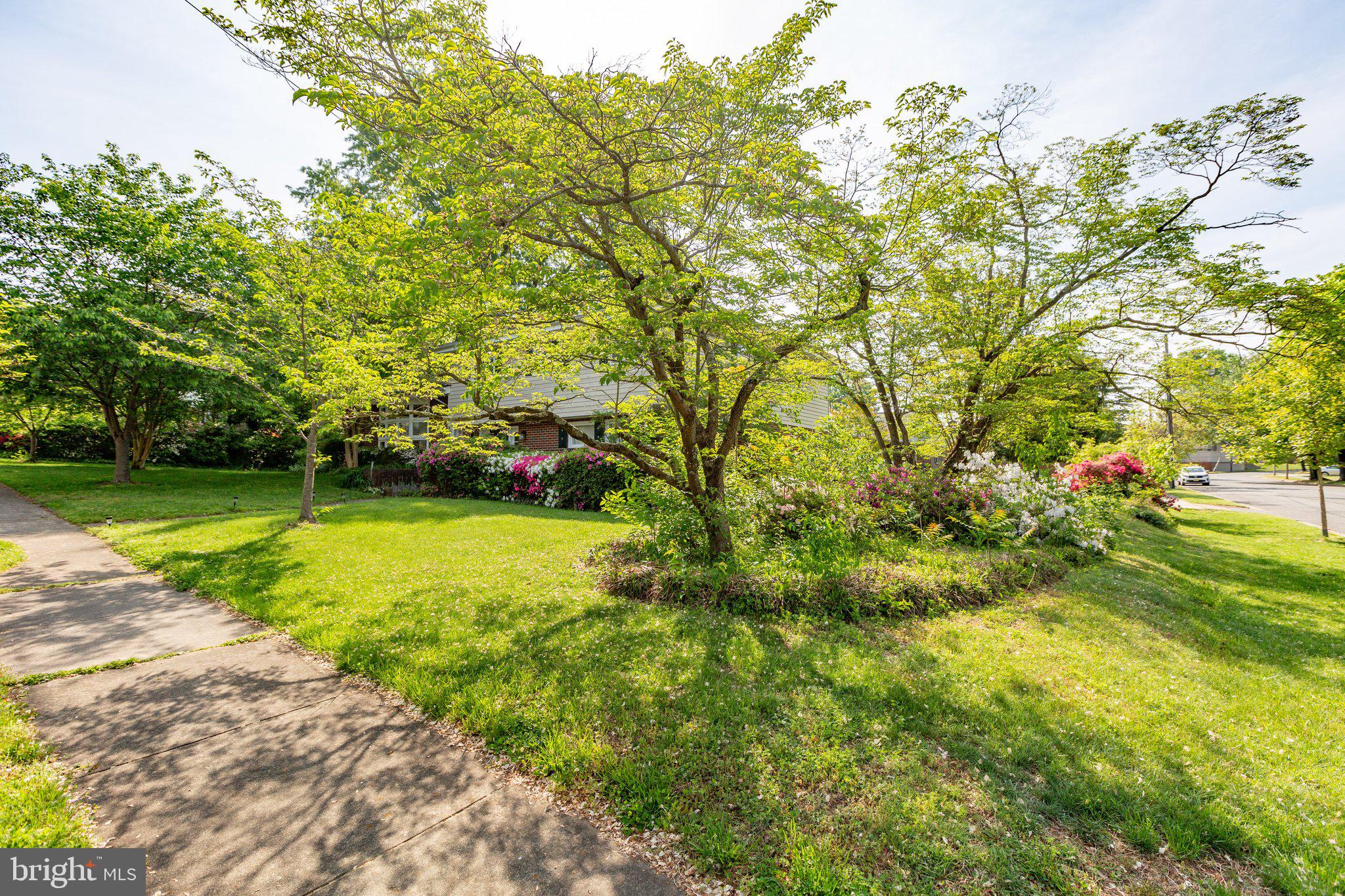 COLLEGE HEIGHTS - Residential Lease