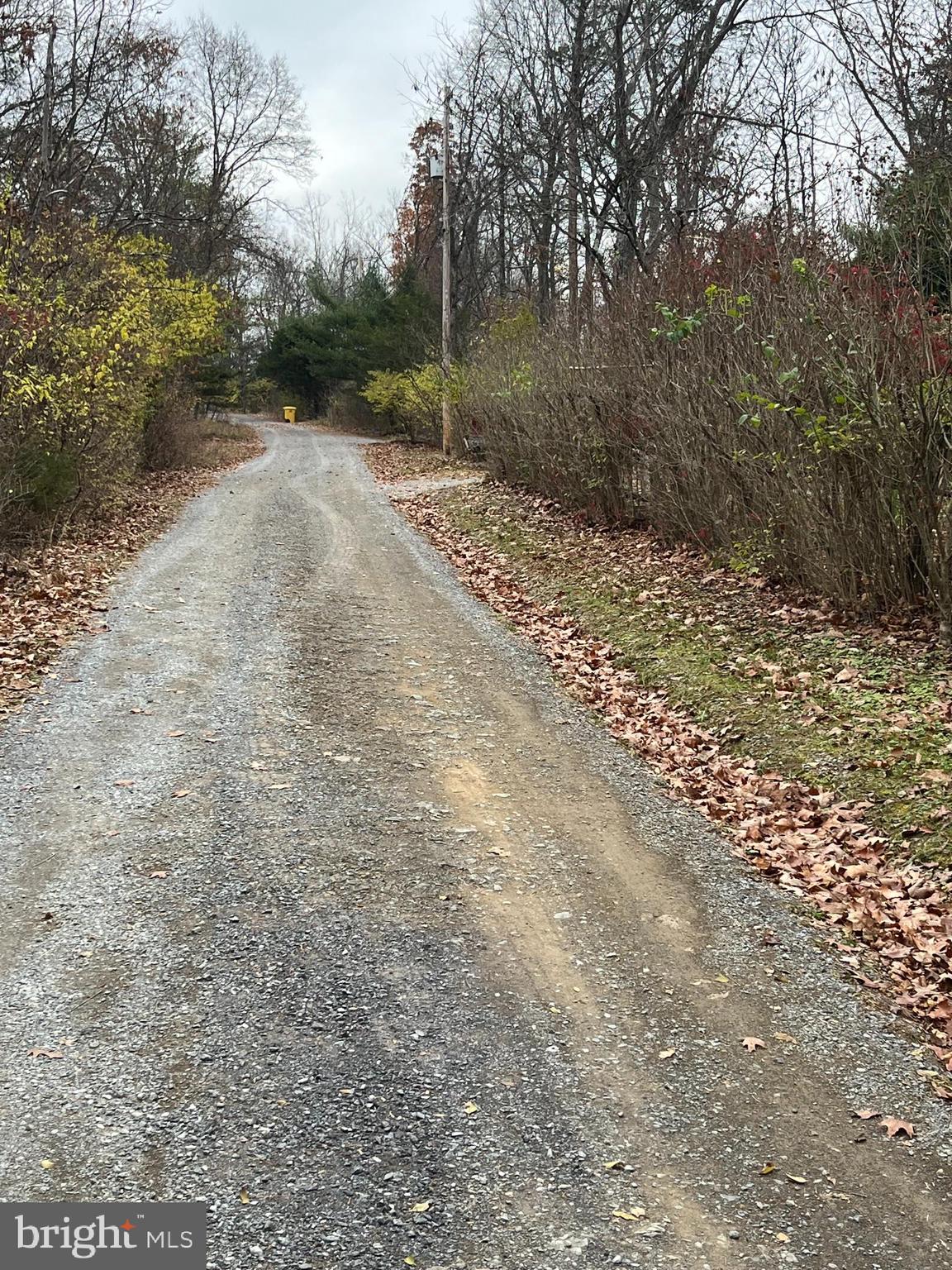 GLENWOOD FOREST - Land