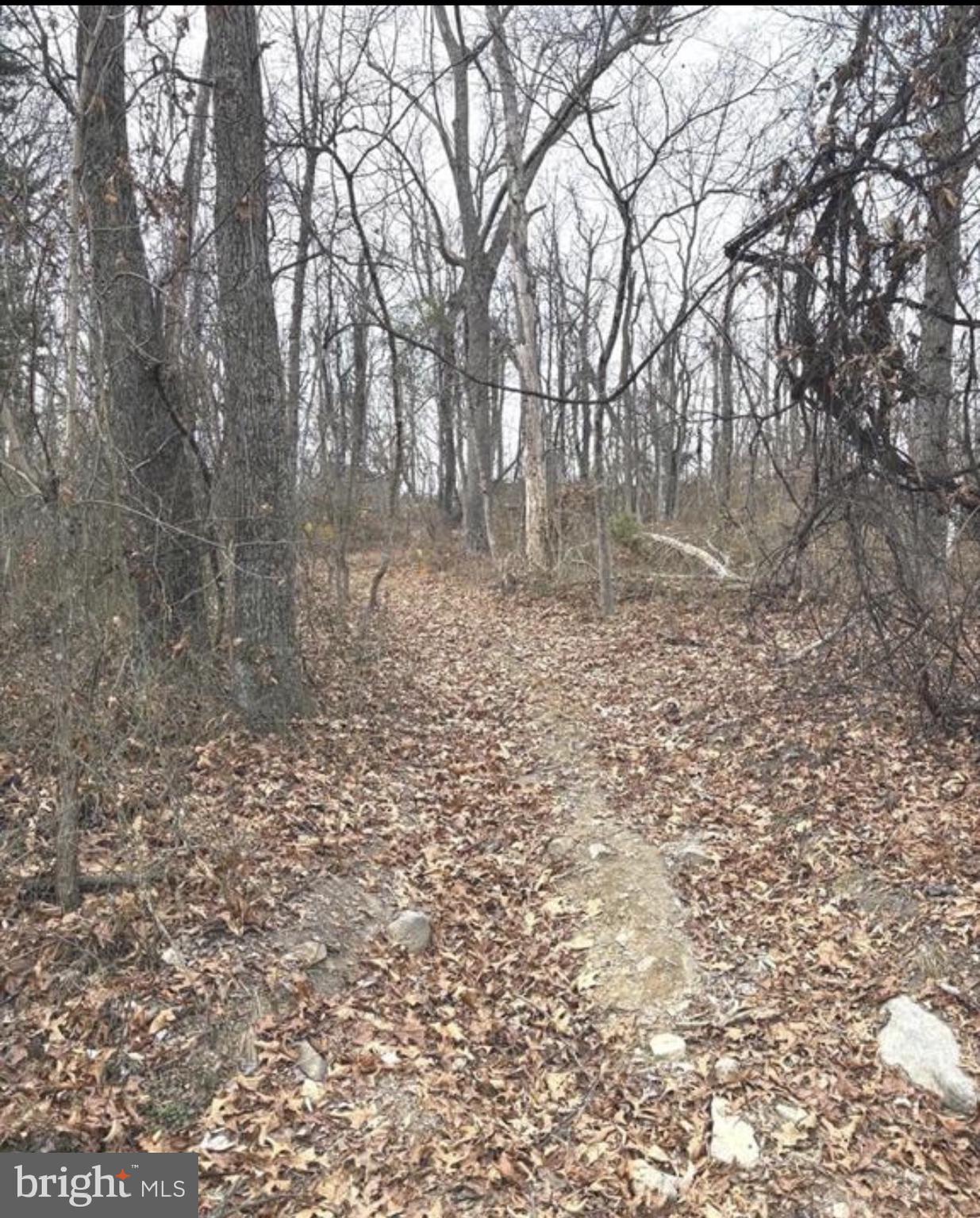 RITTERS HIDDEN VALLEY - Land