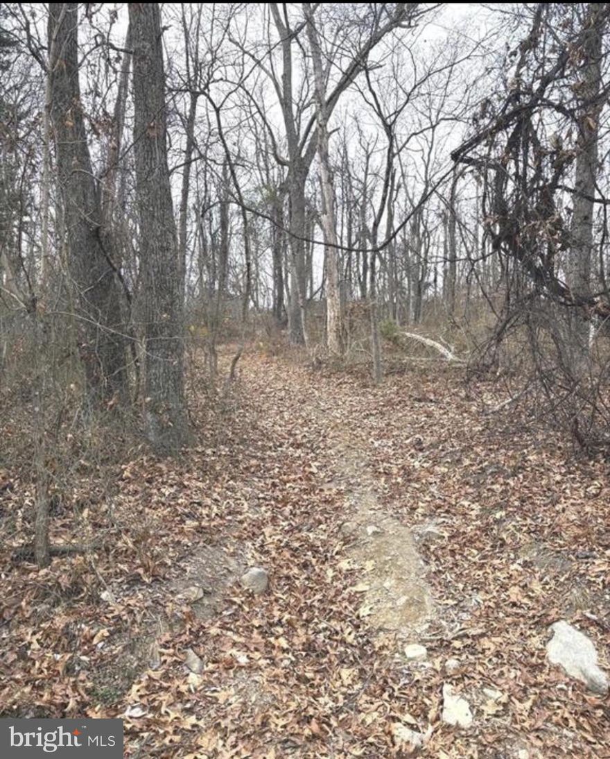 Beautiful 3-acre wooded lot located in the desirable Ritters Hidden Valley mountain community. This mostly wooded, undeveloped parcel offers privacy, peaceful natural surroundings, and the potential for mountain views with selective clearing—perfect for a weekend retreat, recreational use, or your future home site. Enjoy access to a wide range of community amenities, including a swimming lake, stocked fishing lake, tennis courts, park/playground, and community events. With miles of community roads and trails, outdoor enthusiasts will love the opportunities for ATV riding, hiking, and exploring. Tucked away in a serene mountain setting, yet within a reasonable drive to nearby towns and commuter routes. No public water or sewer; well and septic installation required. NO HOA and no deed restrictions.  Annual road maintenance/common area fee applies. A great opportunity to own affordable mountain property with endless recreational potential in “wild, wonderful” West Virginia.