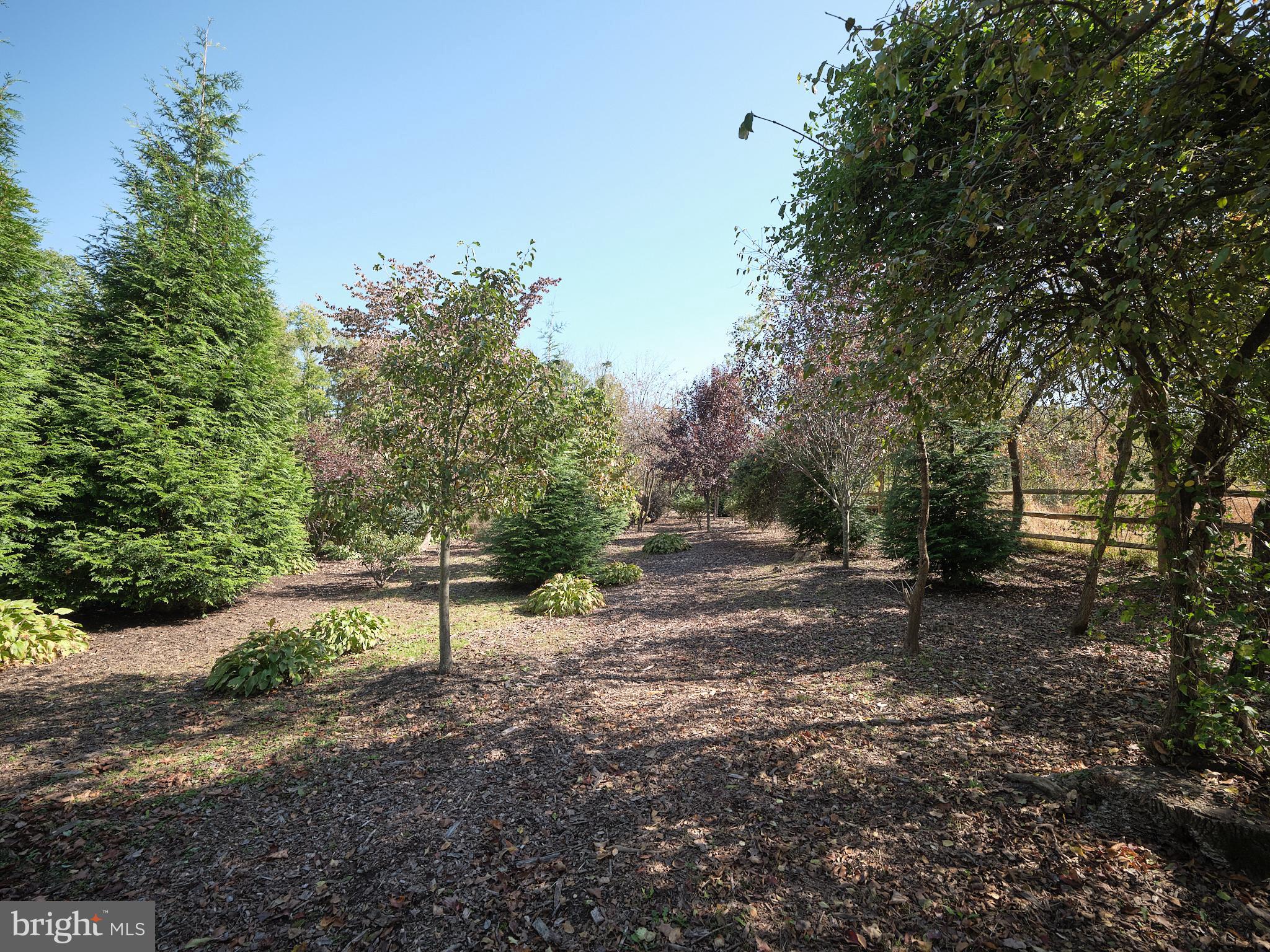 KINGSWOODS - Residential