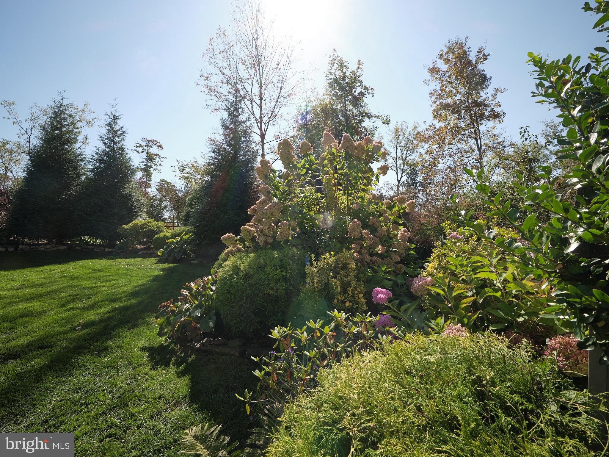 KINGSWOODS - Residential