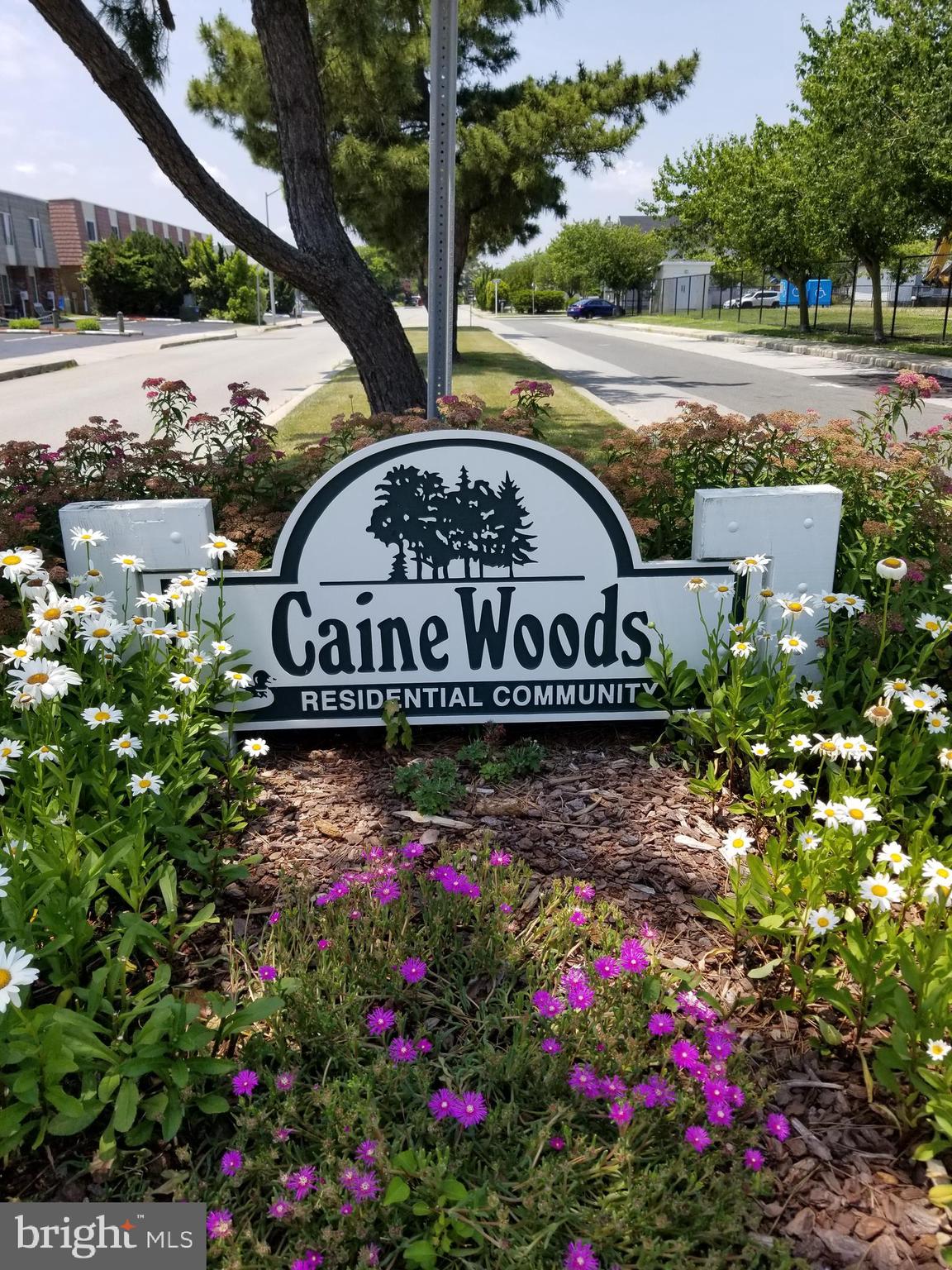 CAINE WOODS - Residential