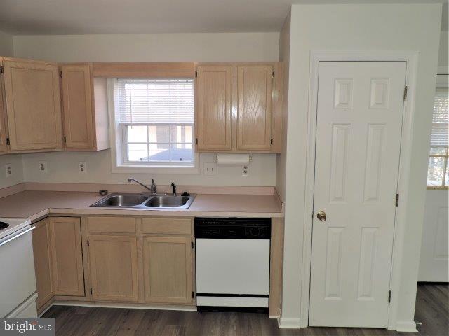 CAINE WOODS - Residential