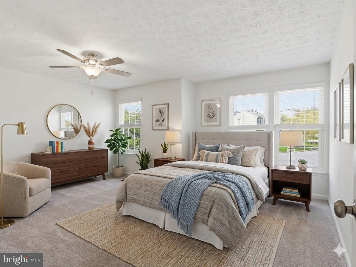 WILLIAMS KNOLL - Residential