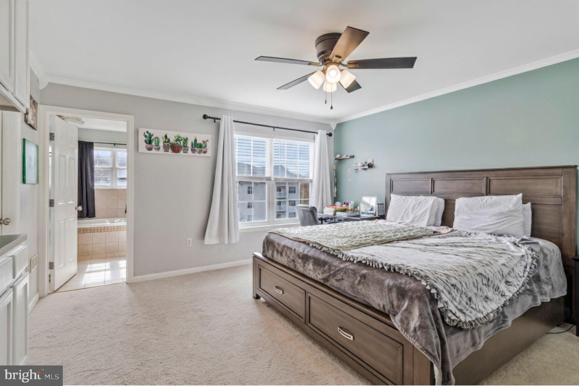 CHAPLINE PLACE - Residential