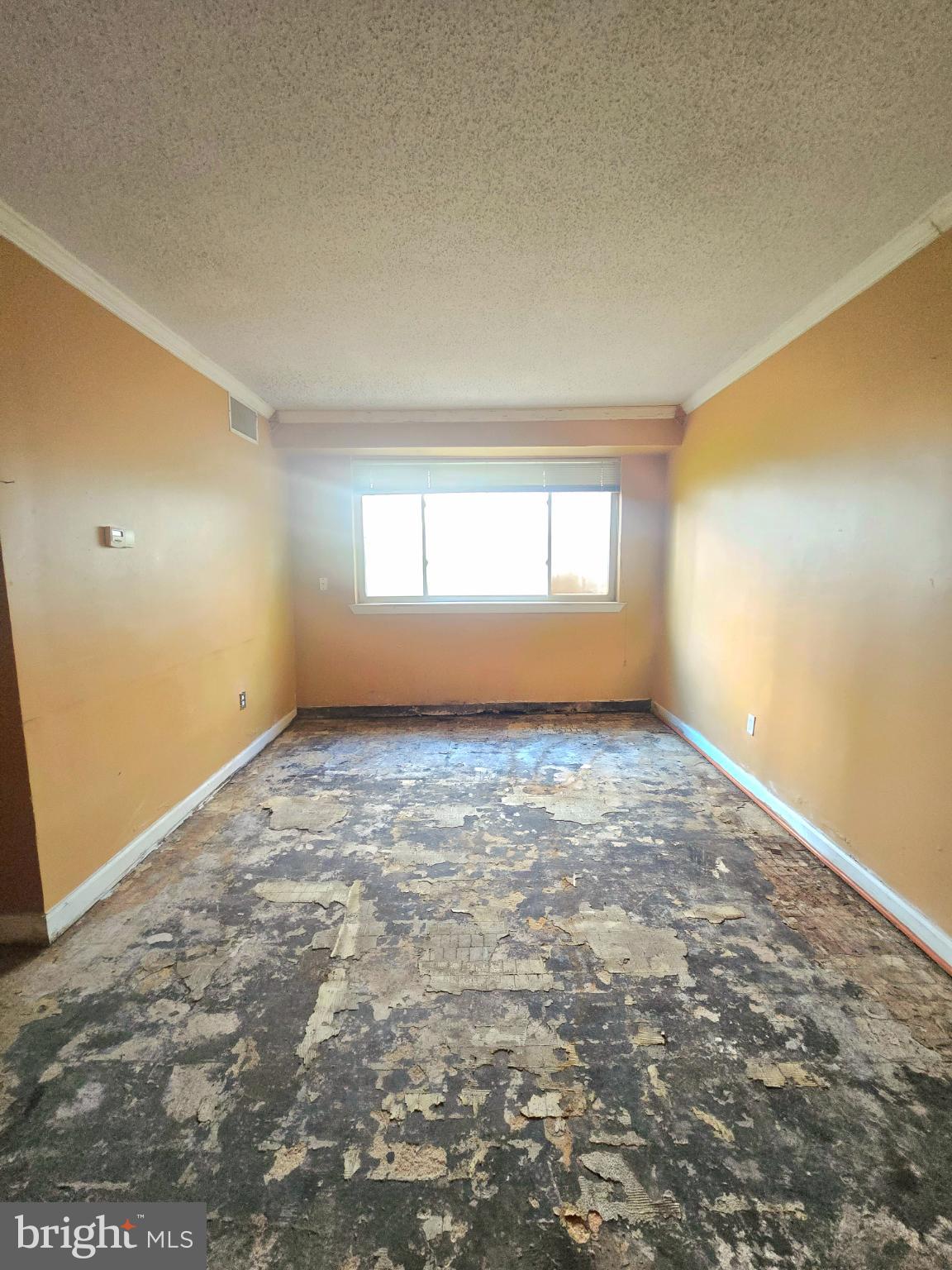 718 BRANDYWINE STREET SE B1