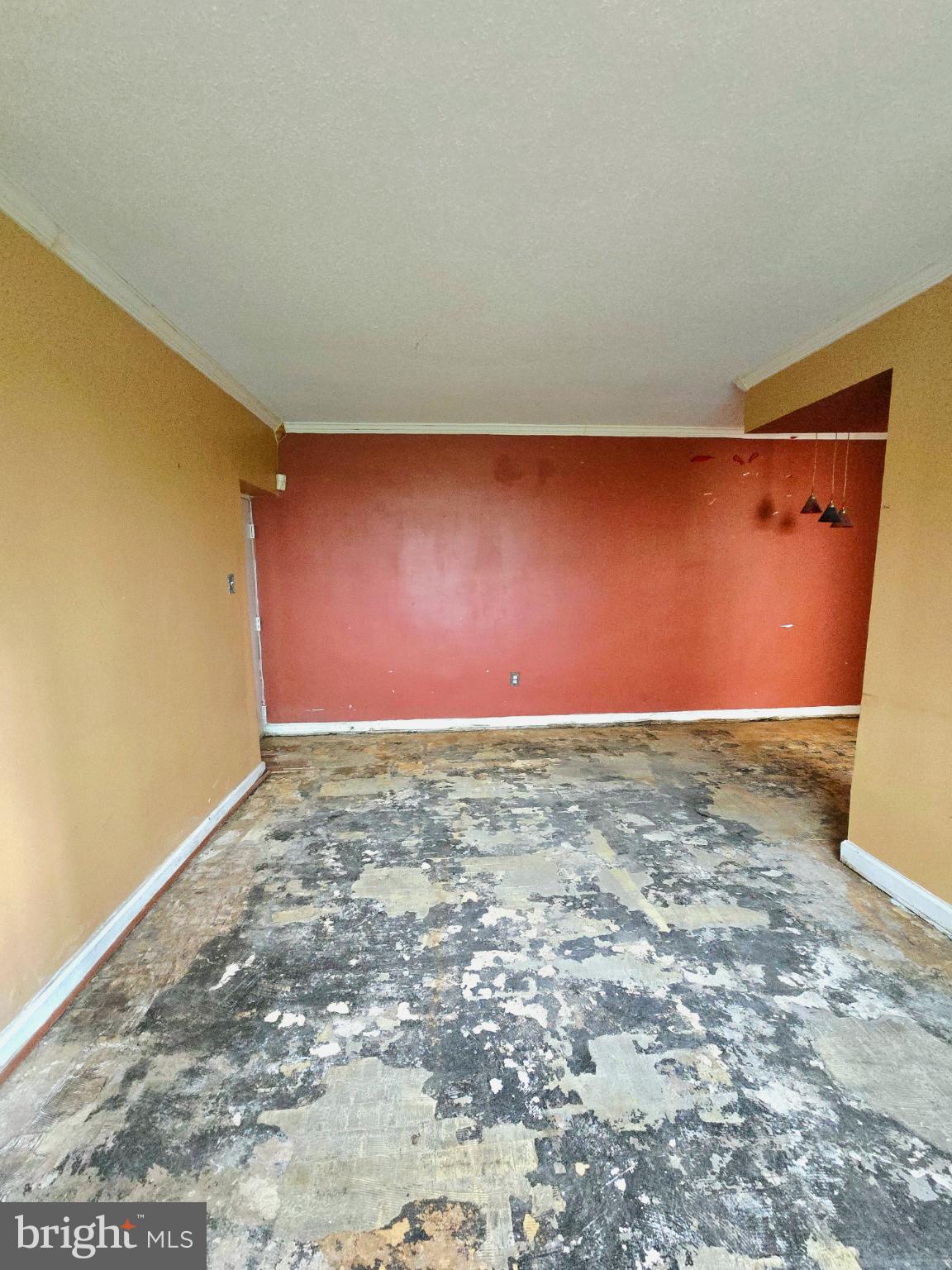 718 BRANDYWINE STREET SE B1