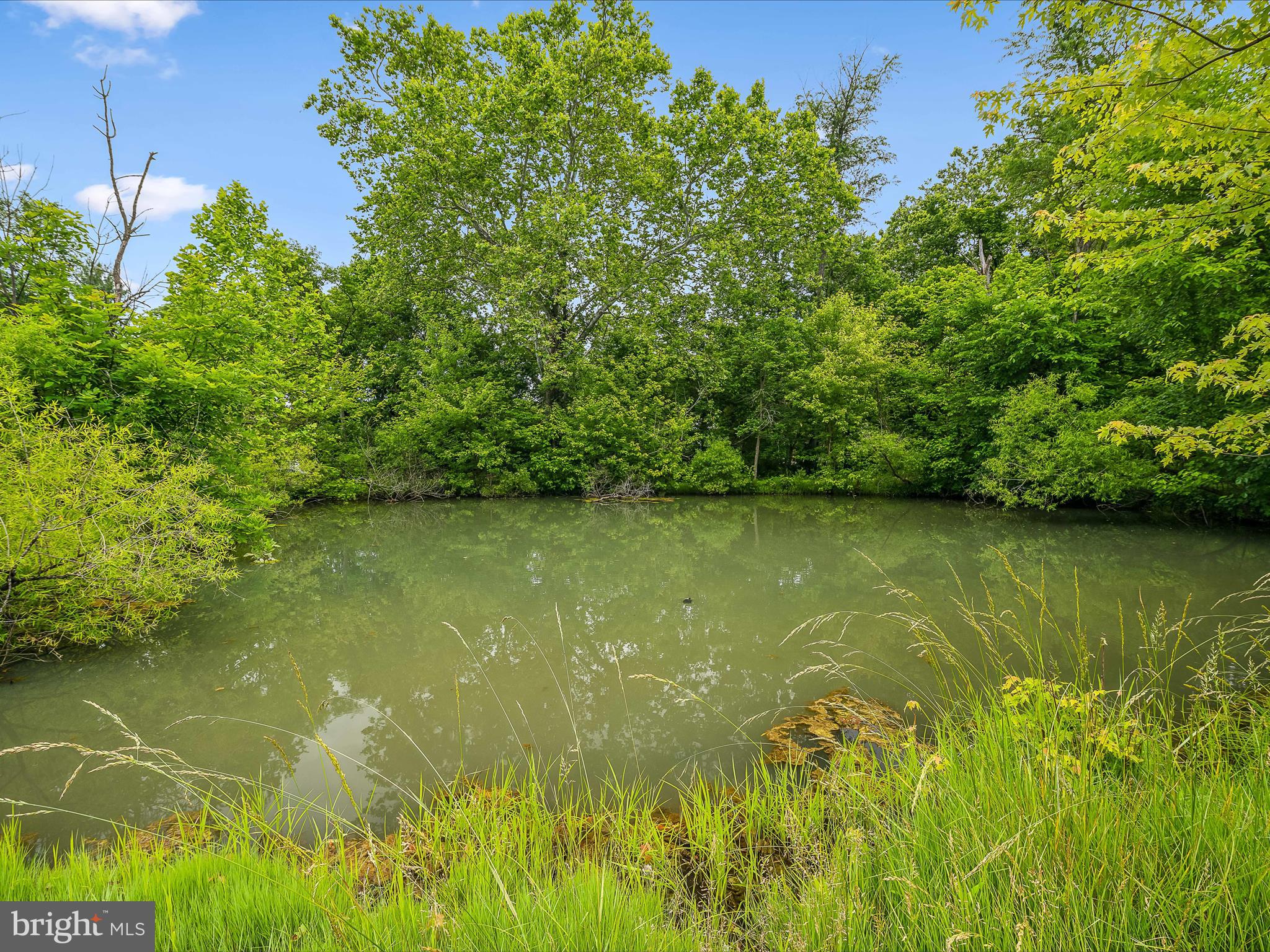 HIDDEN RIVER - Residential