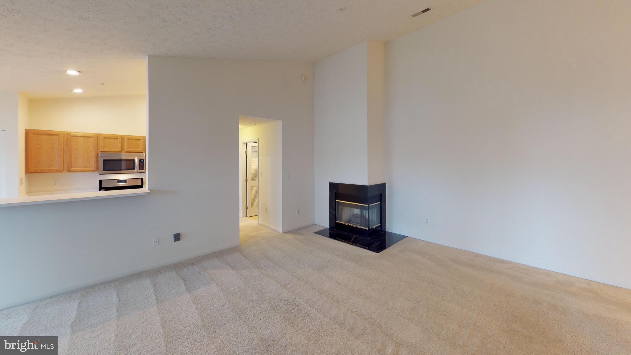 2443 BLUE SPRING COURT 303