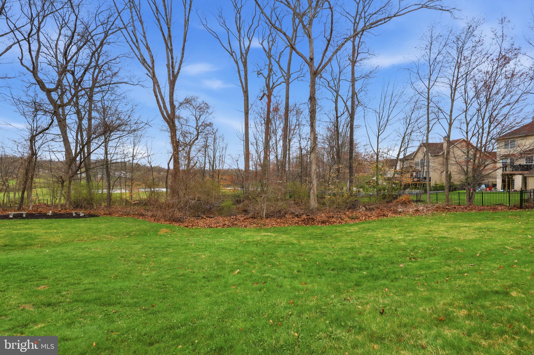 BUCKINGHAM ESTATES - Residential