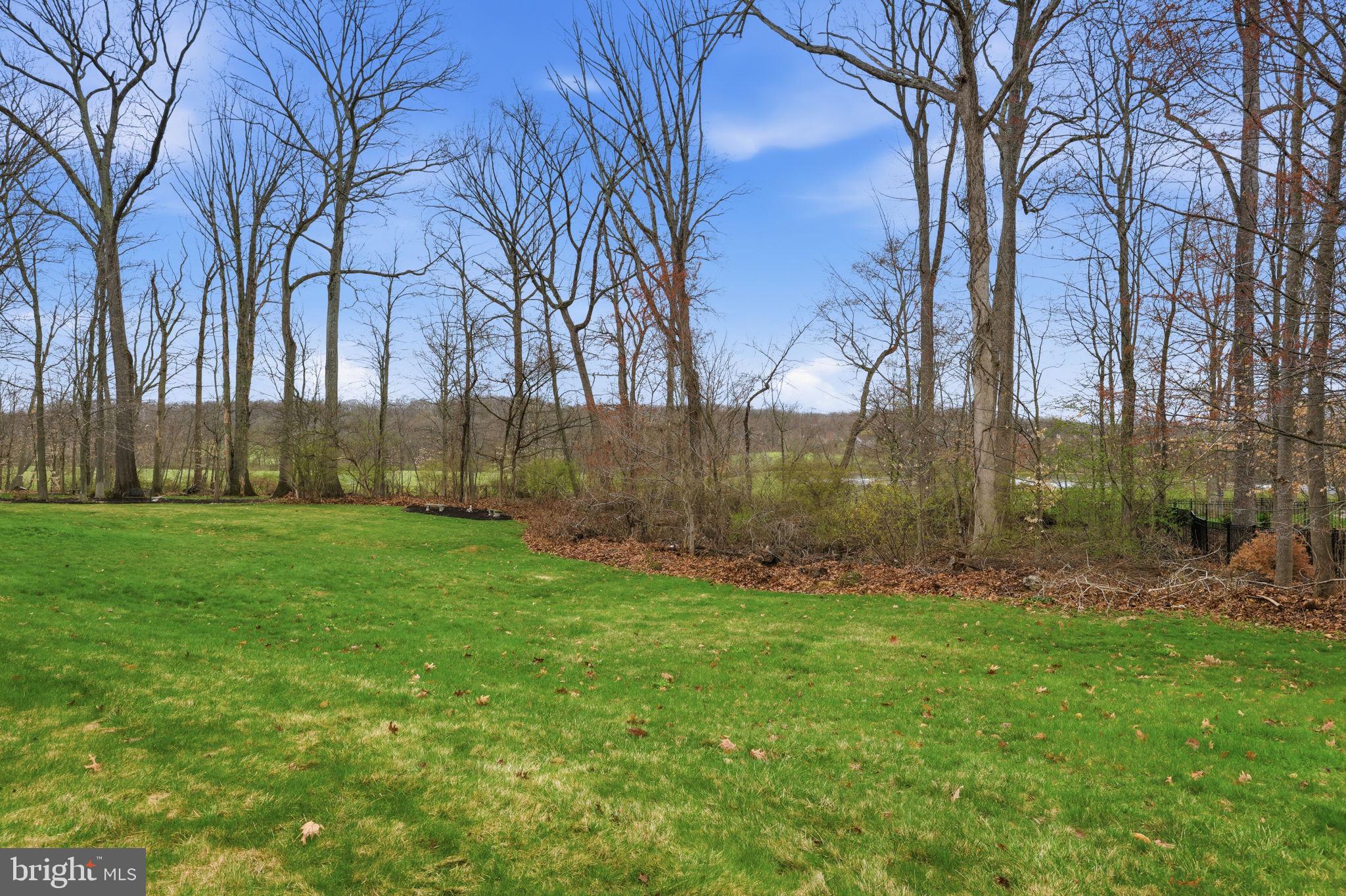 BUCKINGHAM ESTATES - Residential